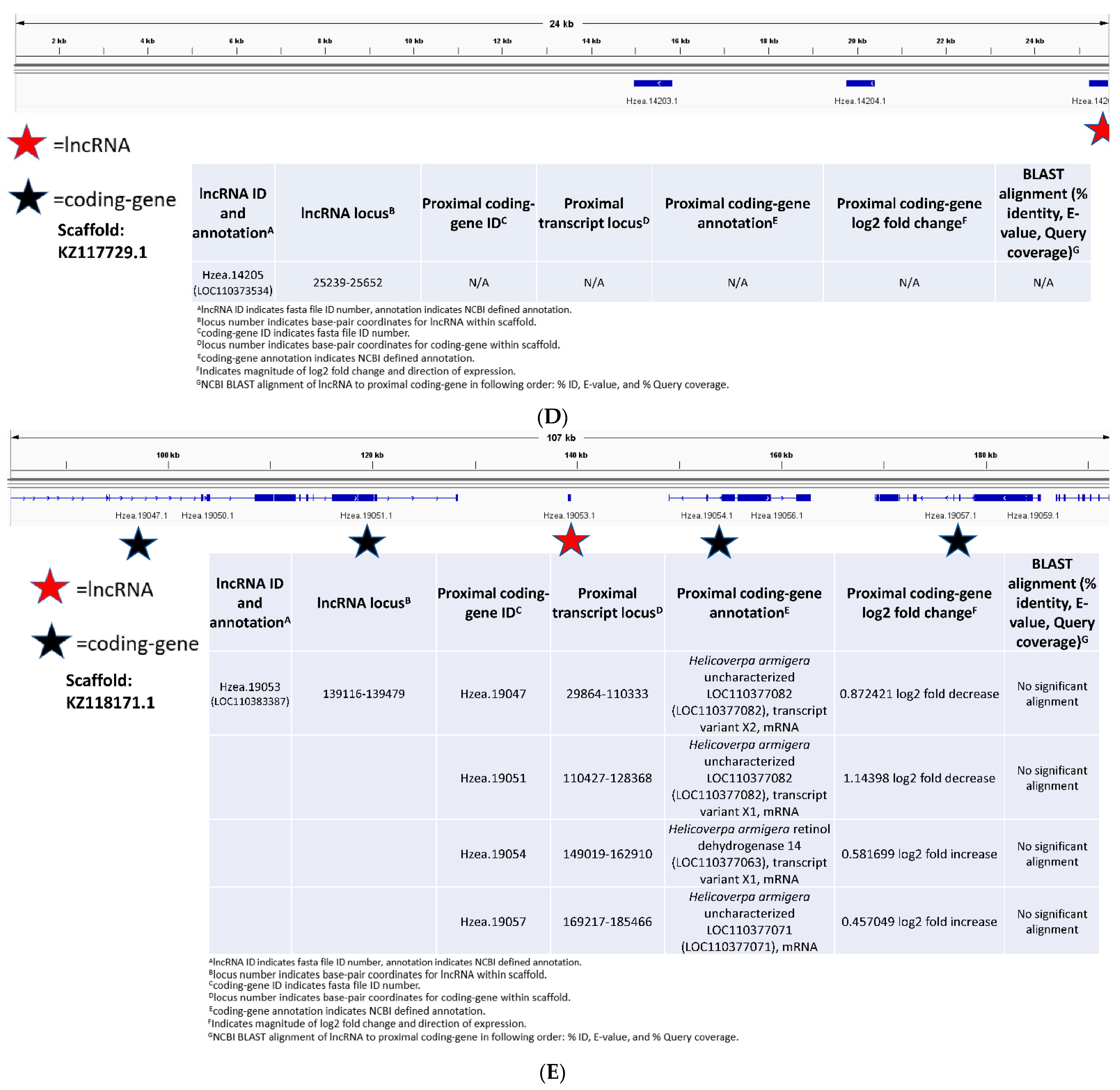 Insects 13 00012 g004c