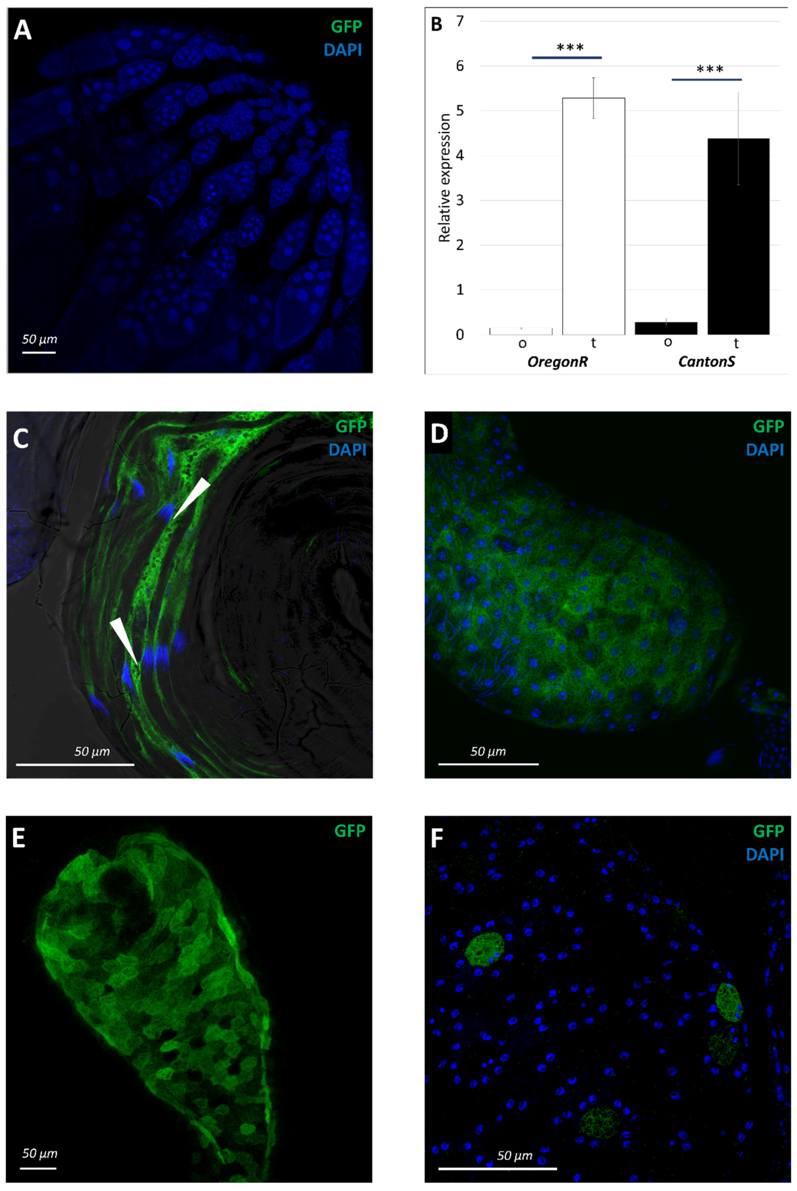 Insects 13 00014 g003