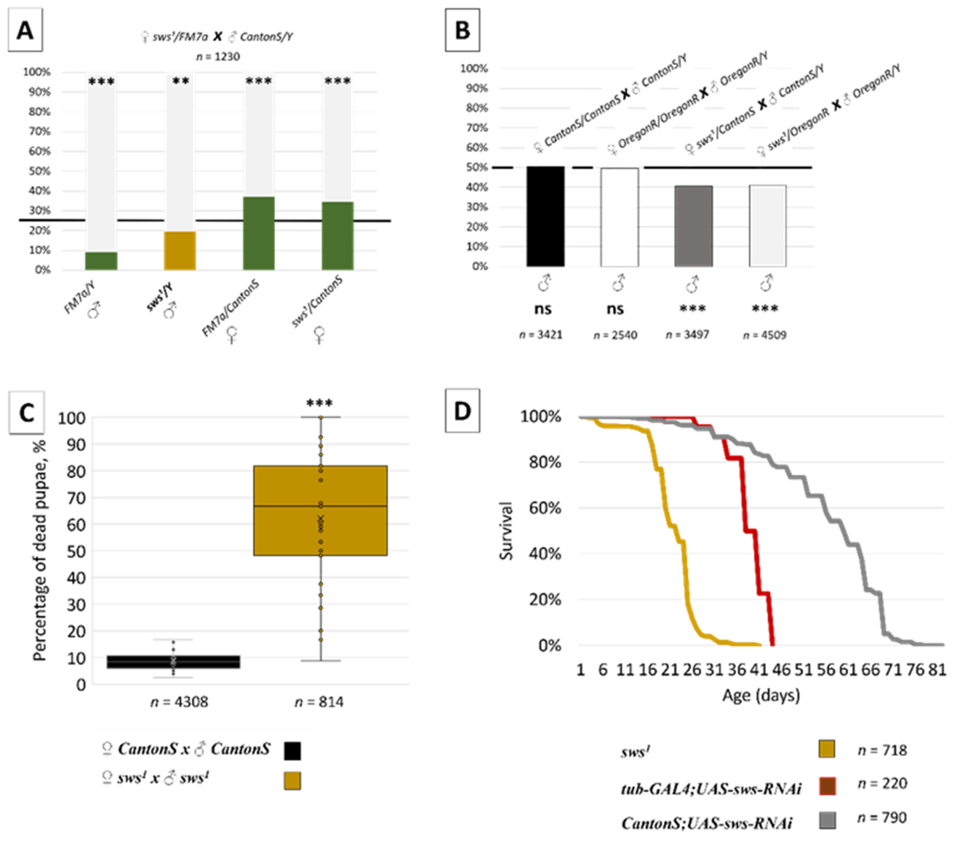Insects 13 00014 g004