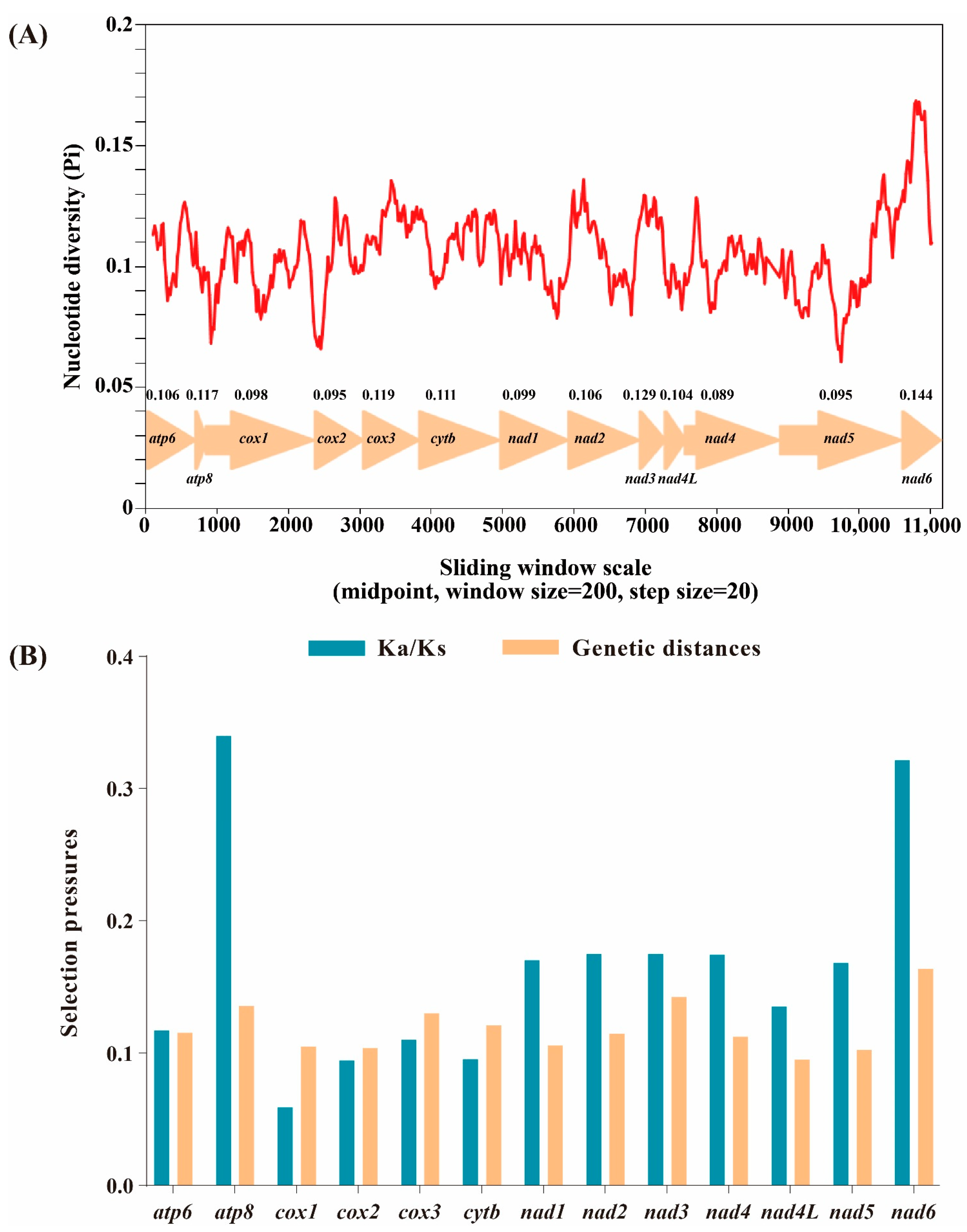Insects 13 00016 g003