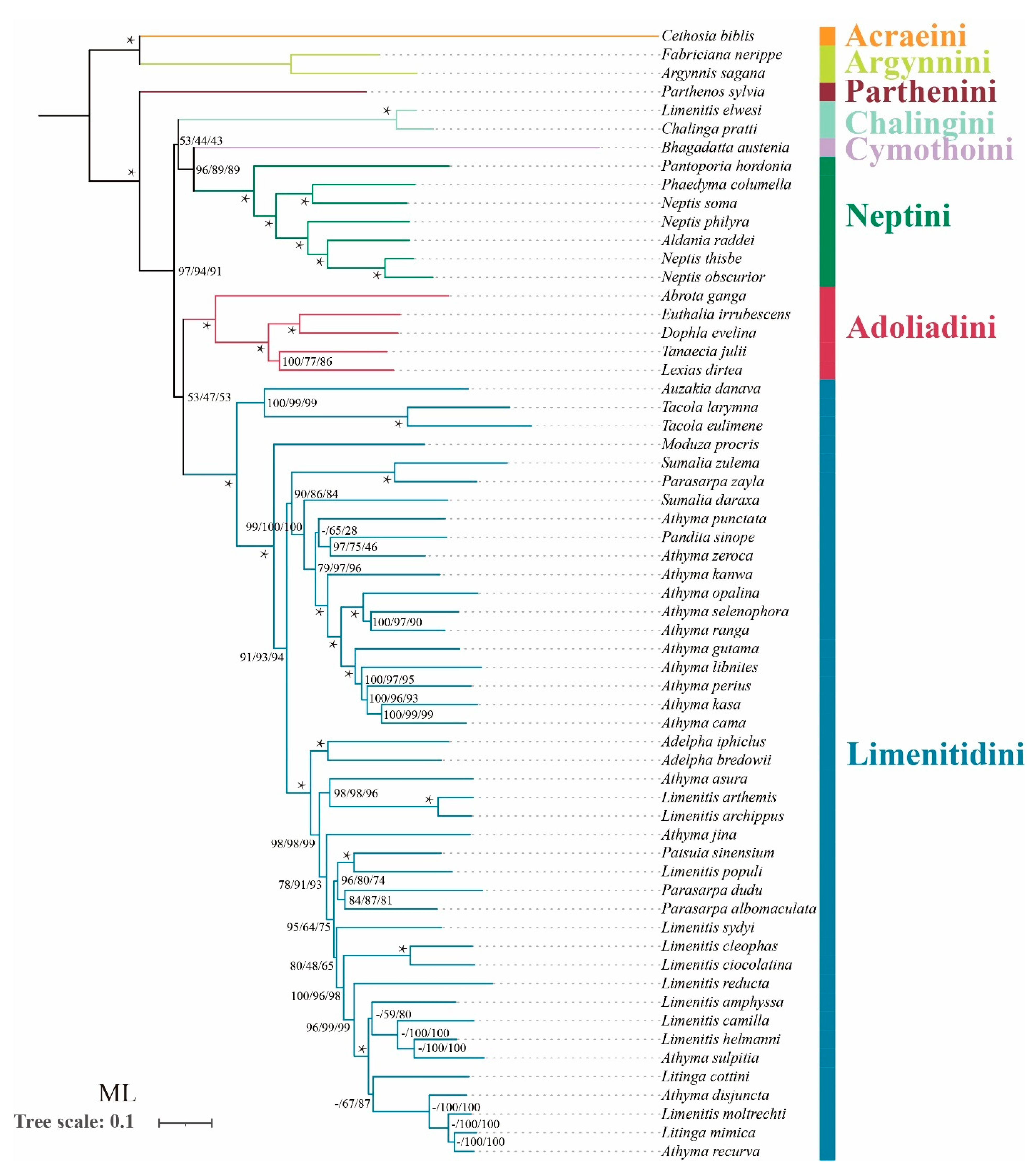 Insects 13 00016 g004