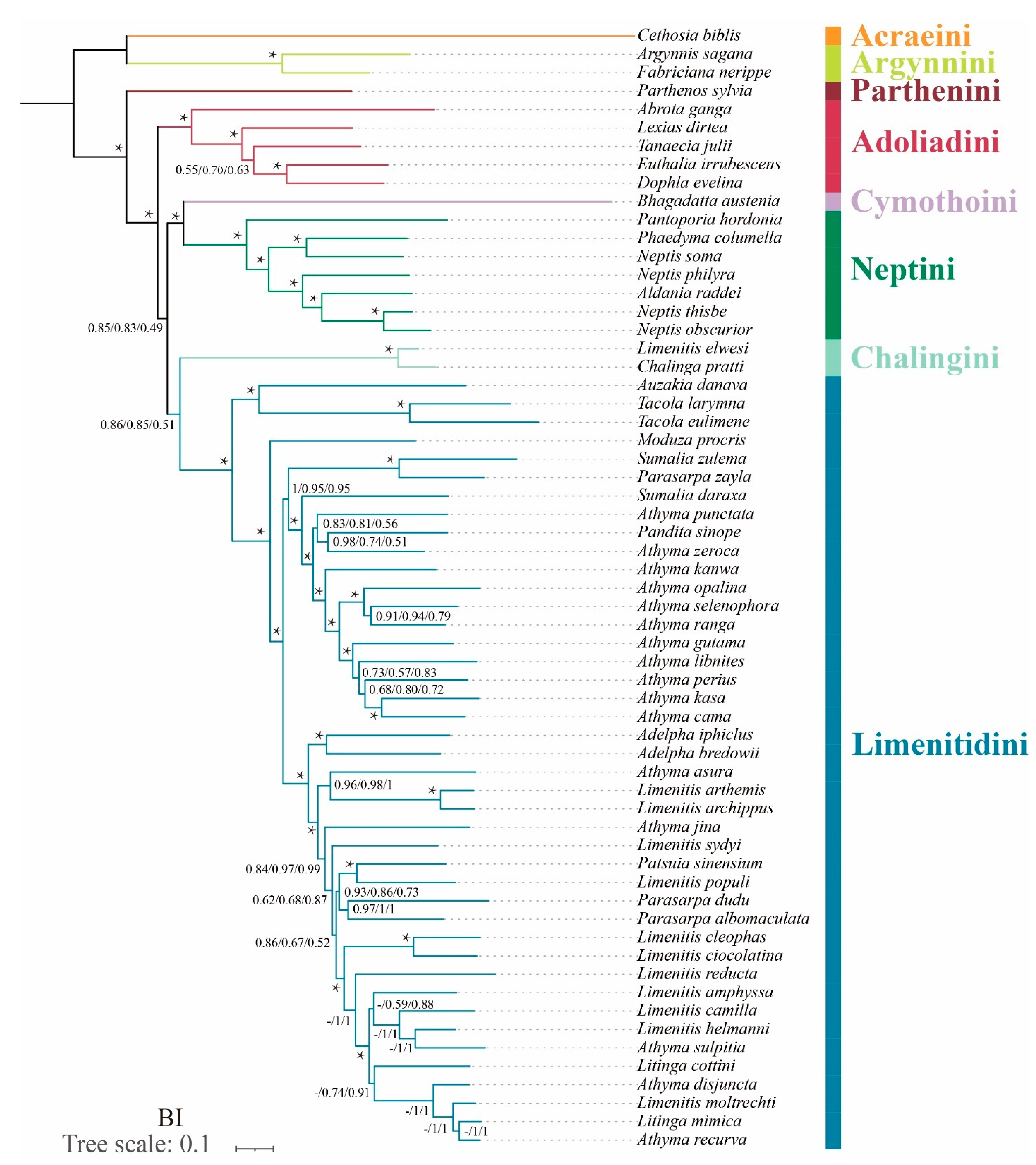 Insects 13 00016 g005