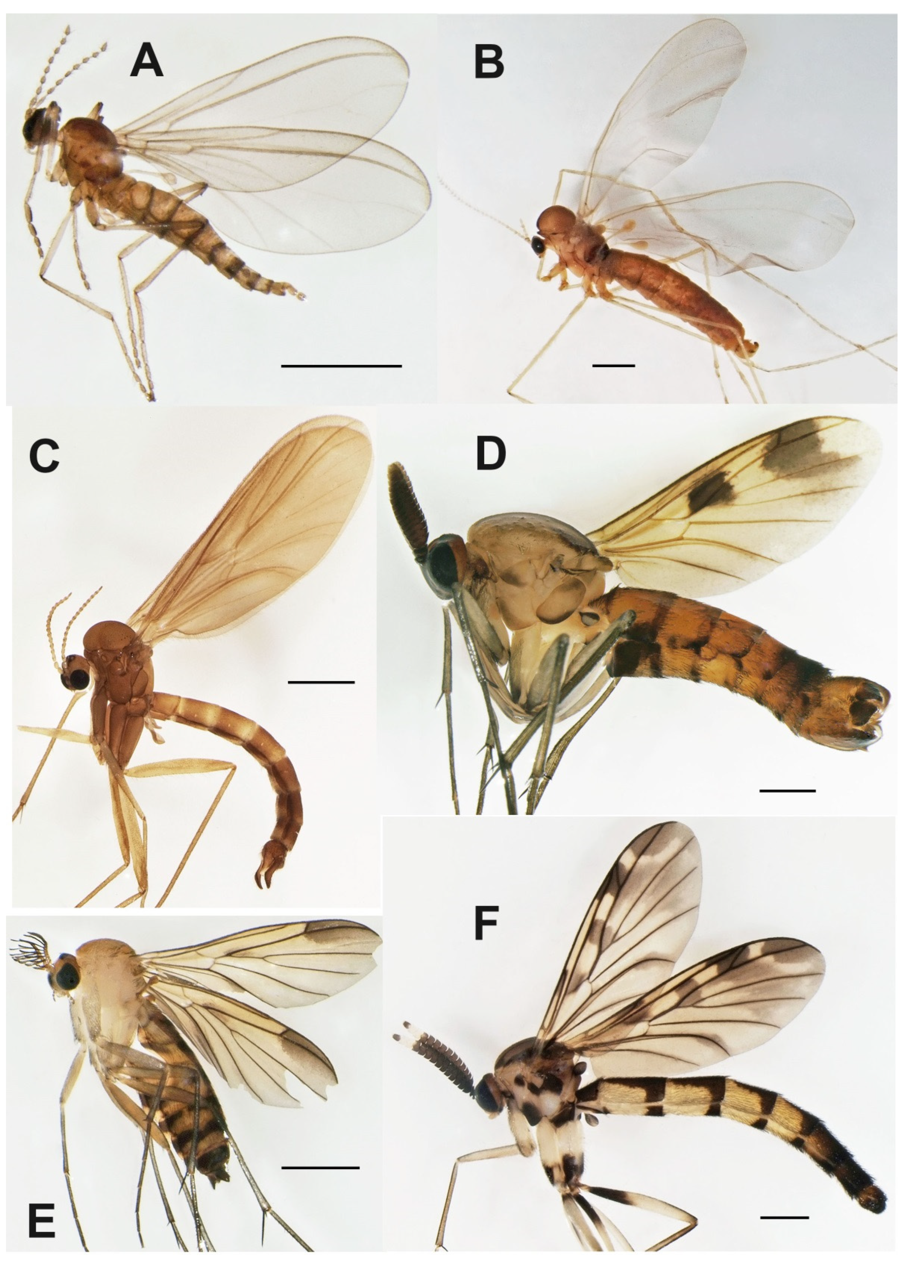 Insects 13 00019 g003