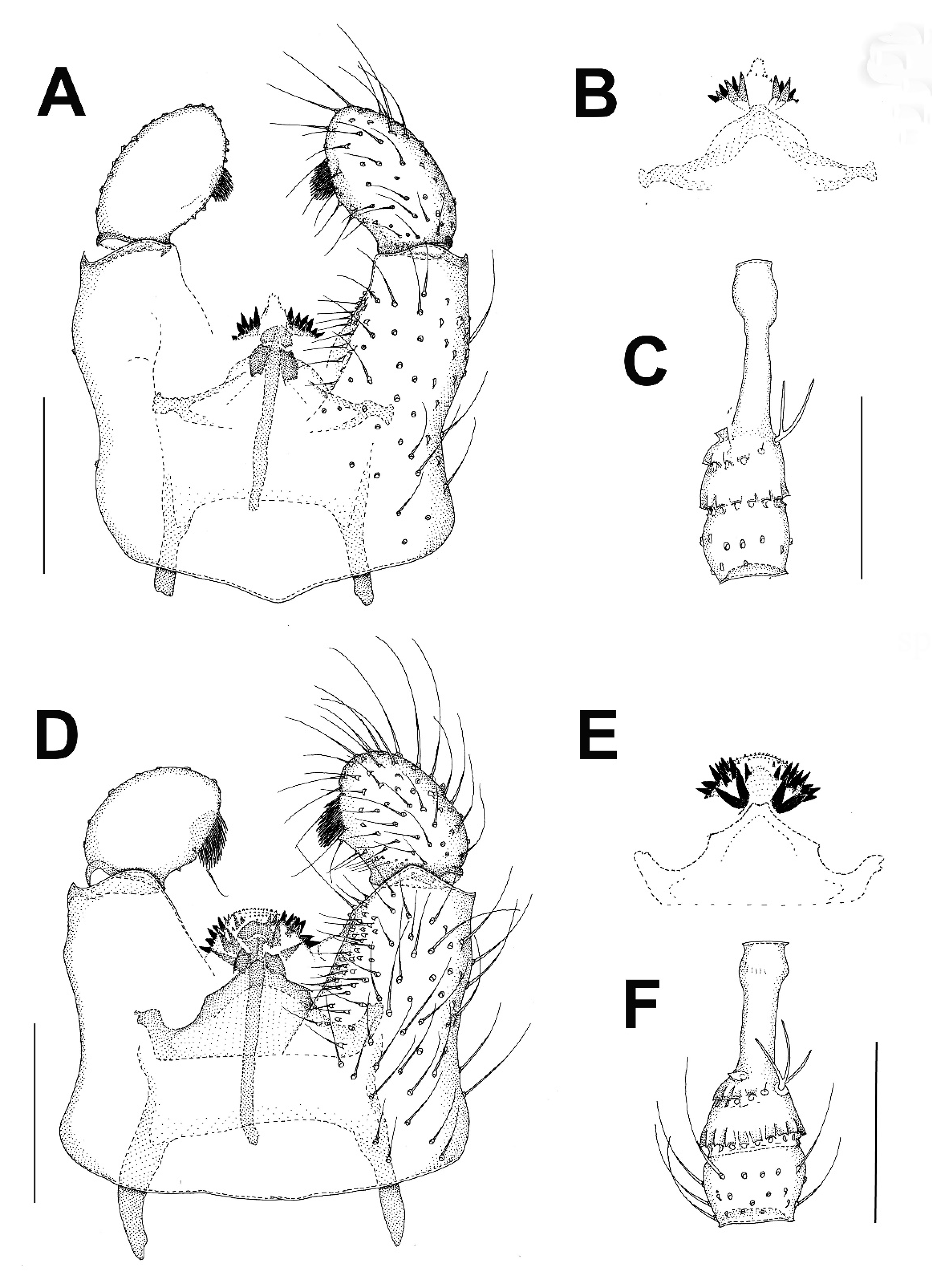 Insects 13 00019 g004