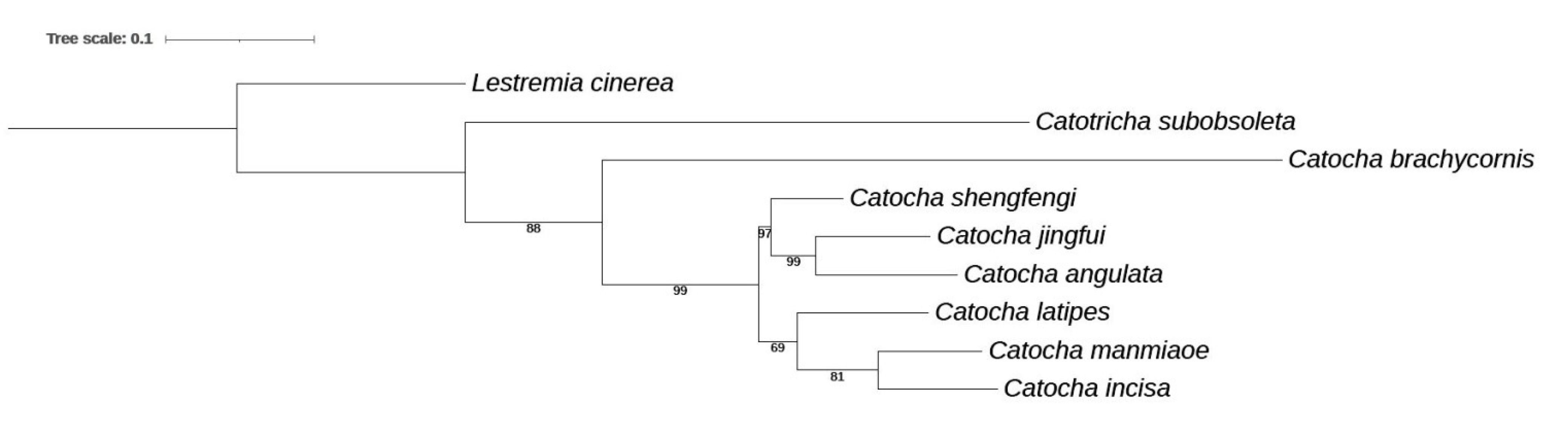 Insects 13 00019 g006