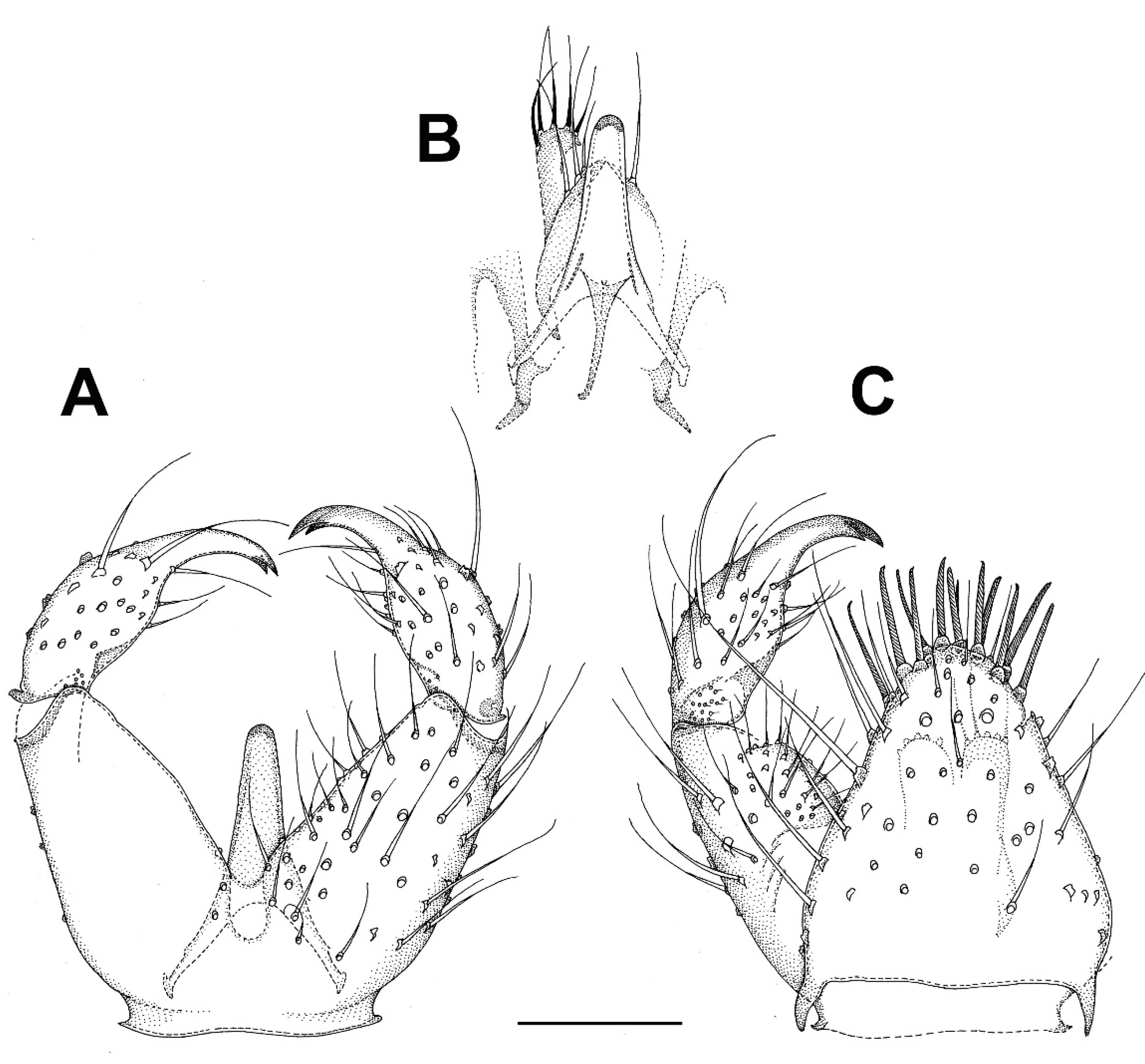 Insects 13 00019 g007