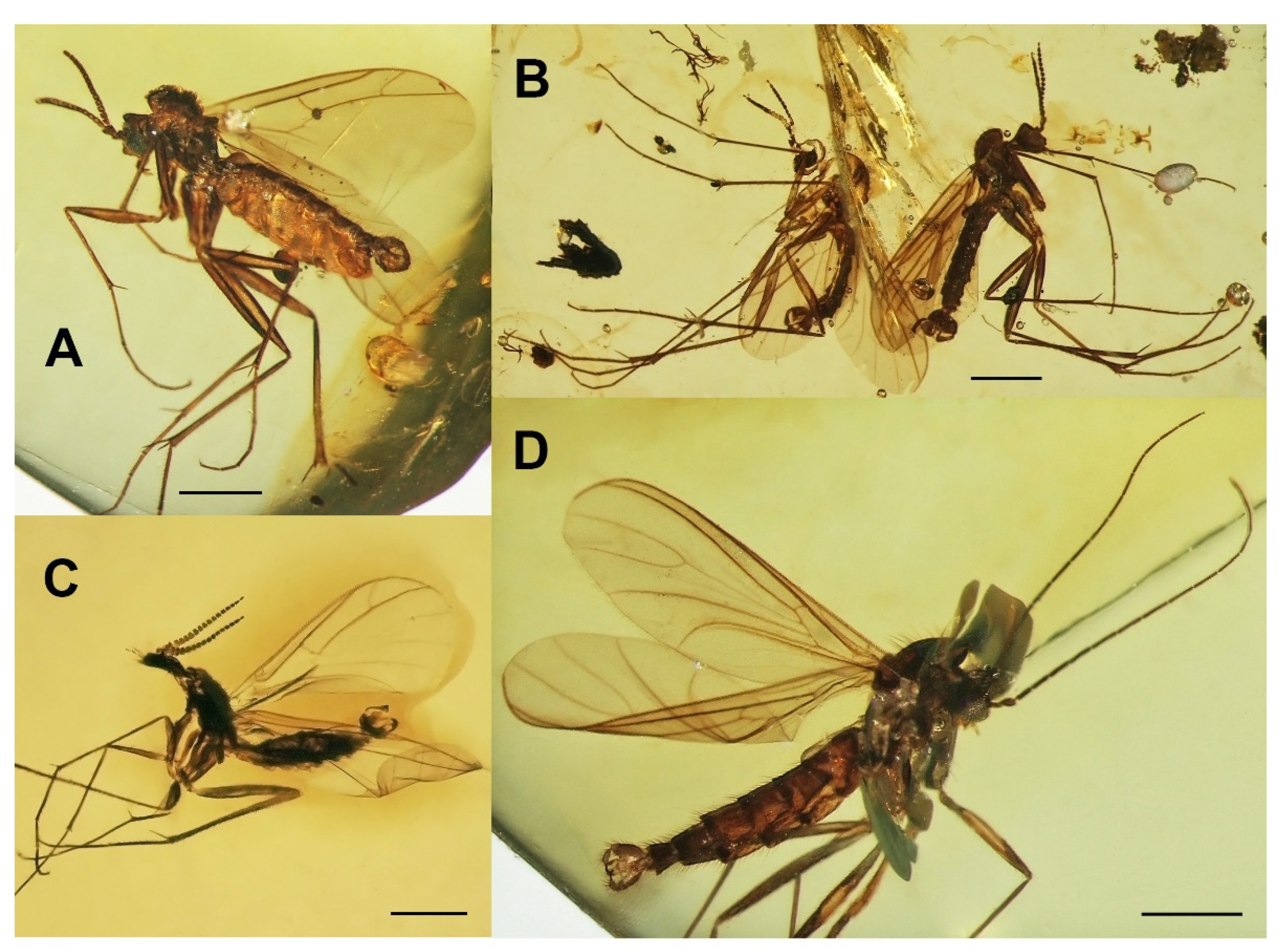 Insects 13 00019 g009