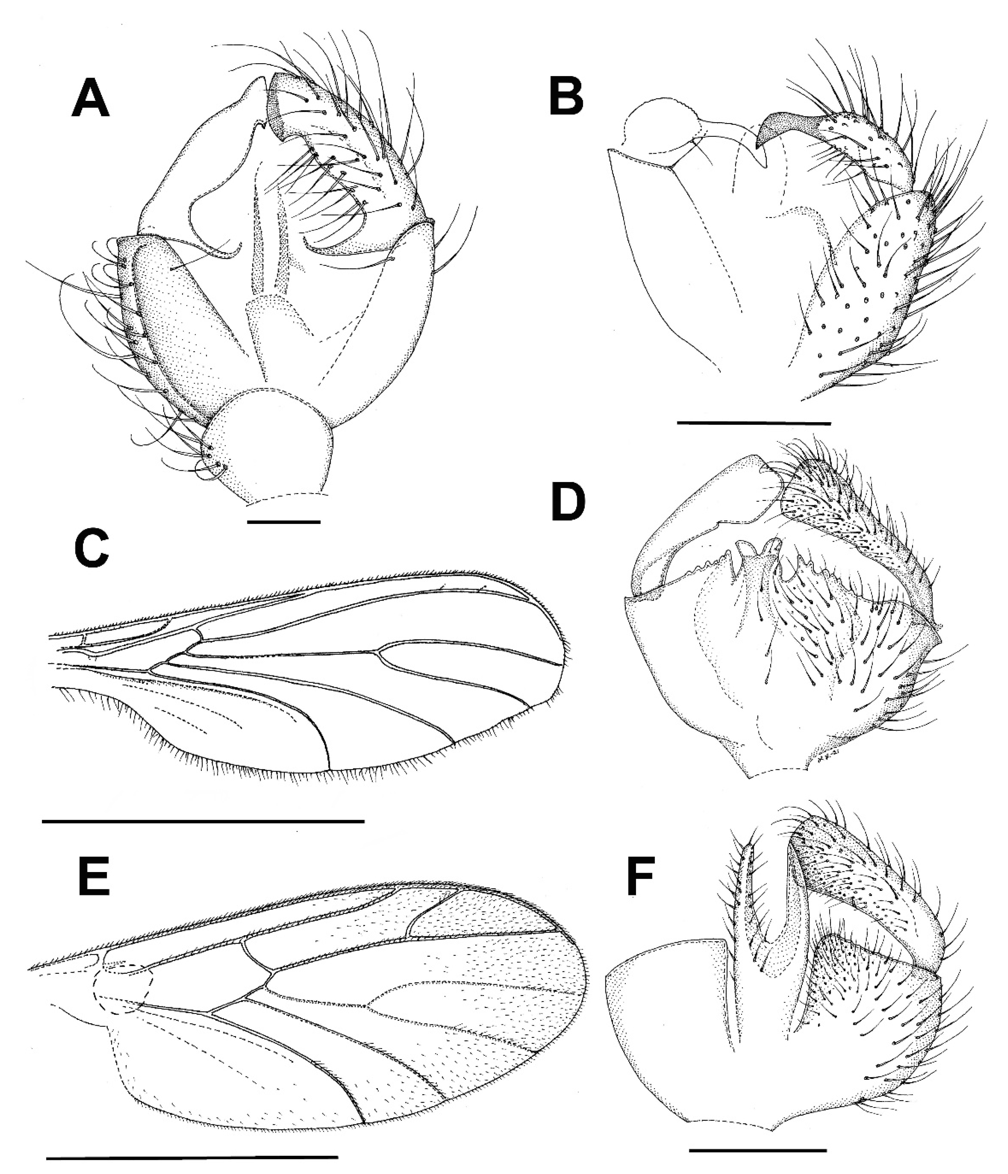 Insects 13 00019 g010