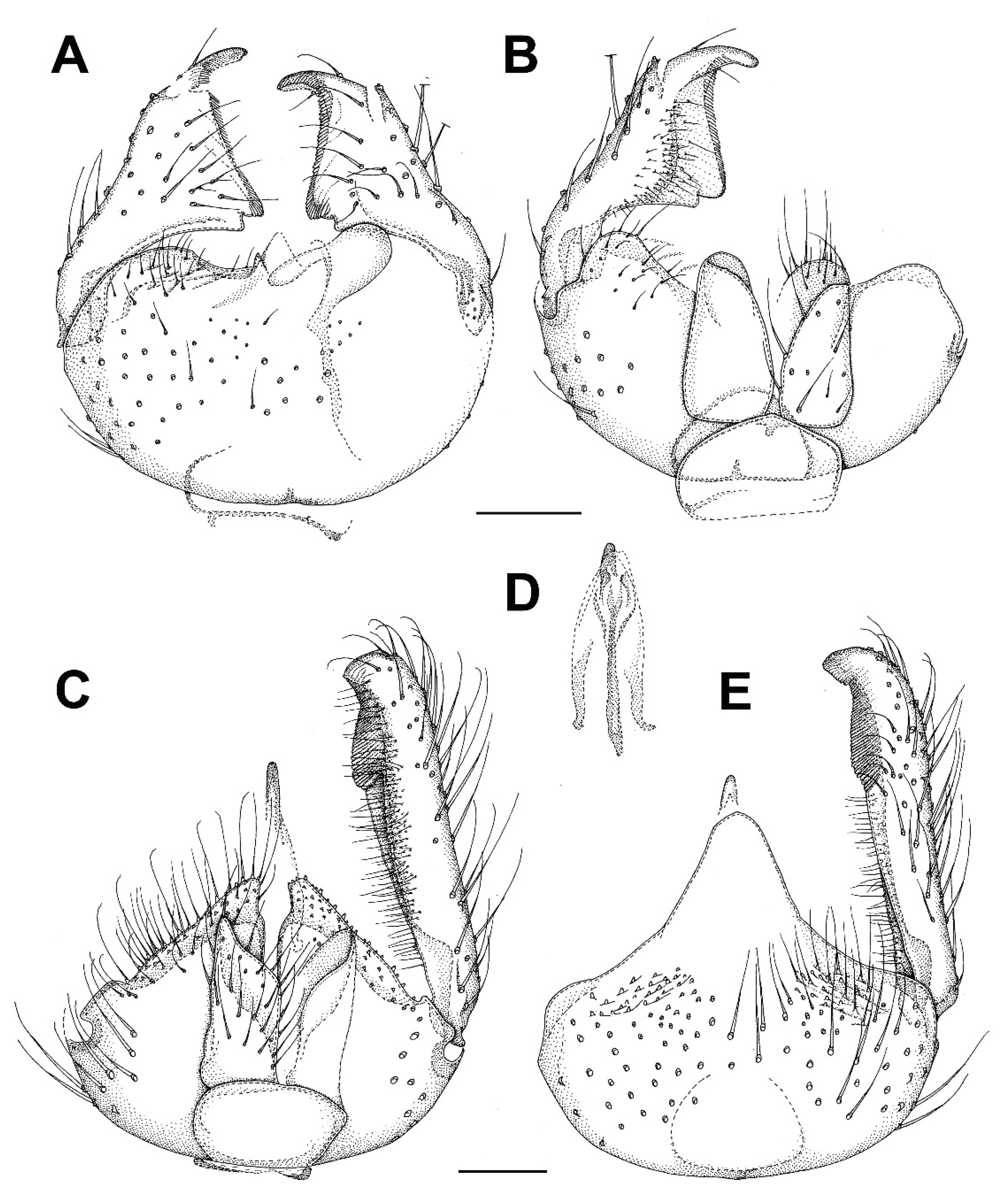 Insects 13 00019 g011