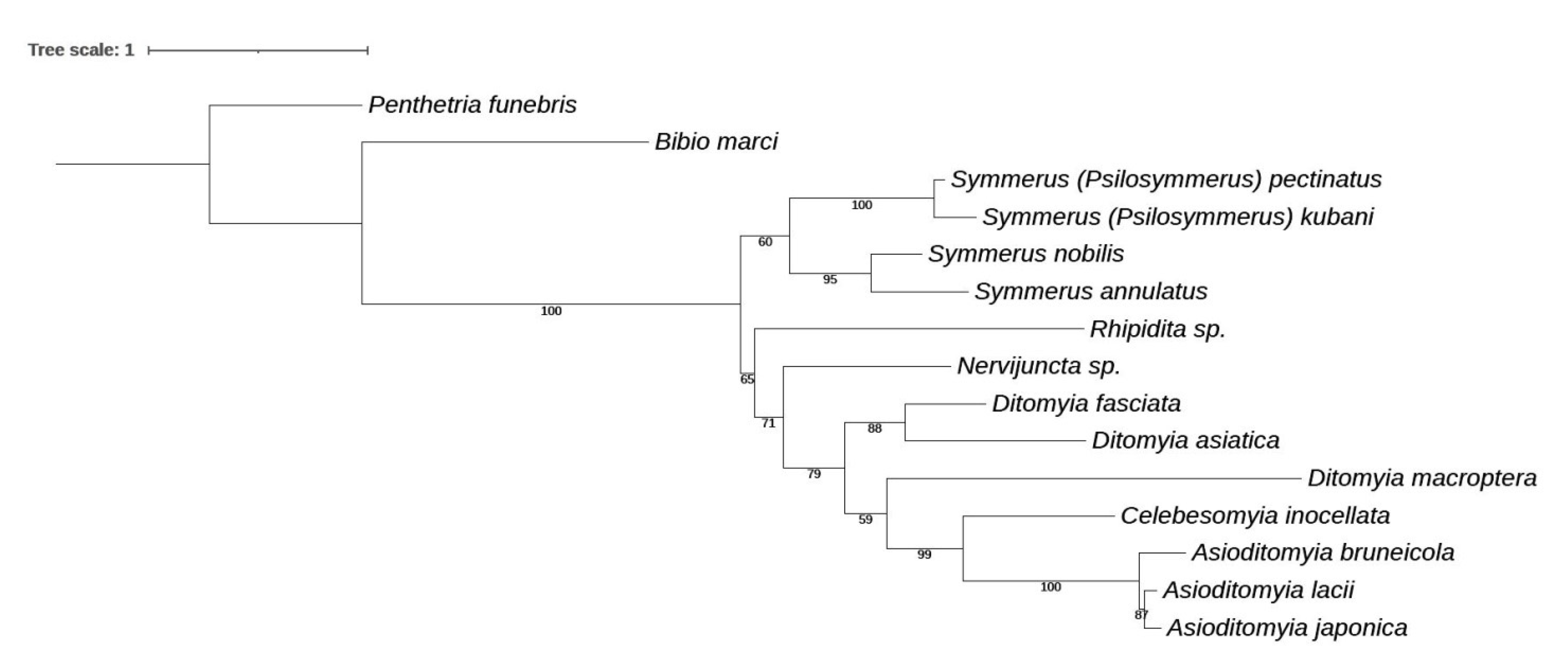 Insects 13 00019 g012