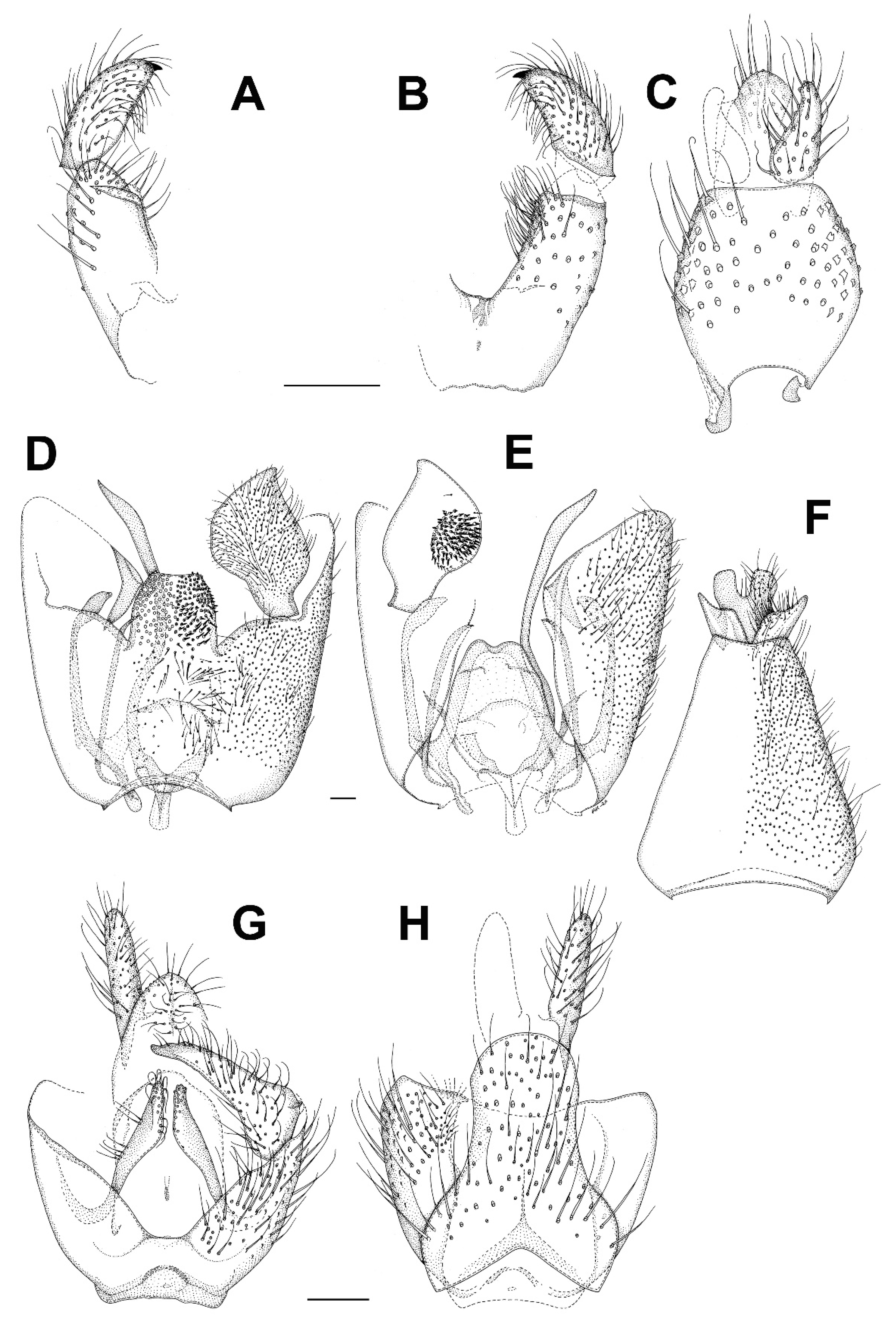 Insects 13 00019 g013