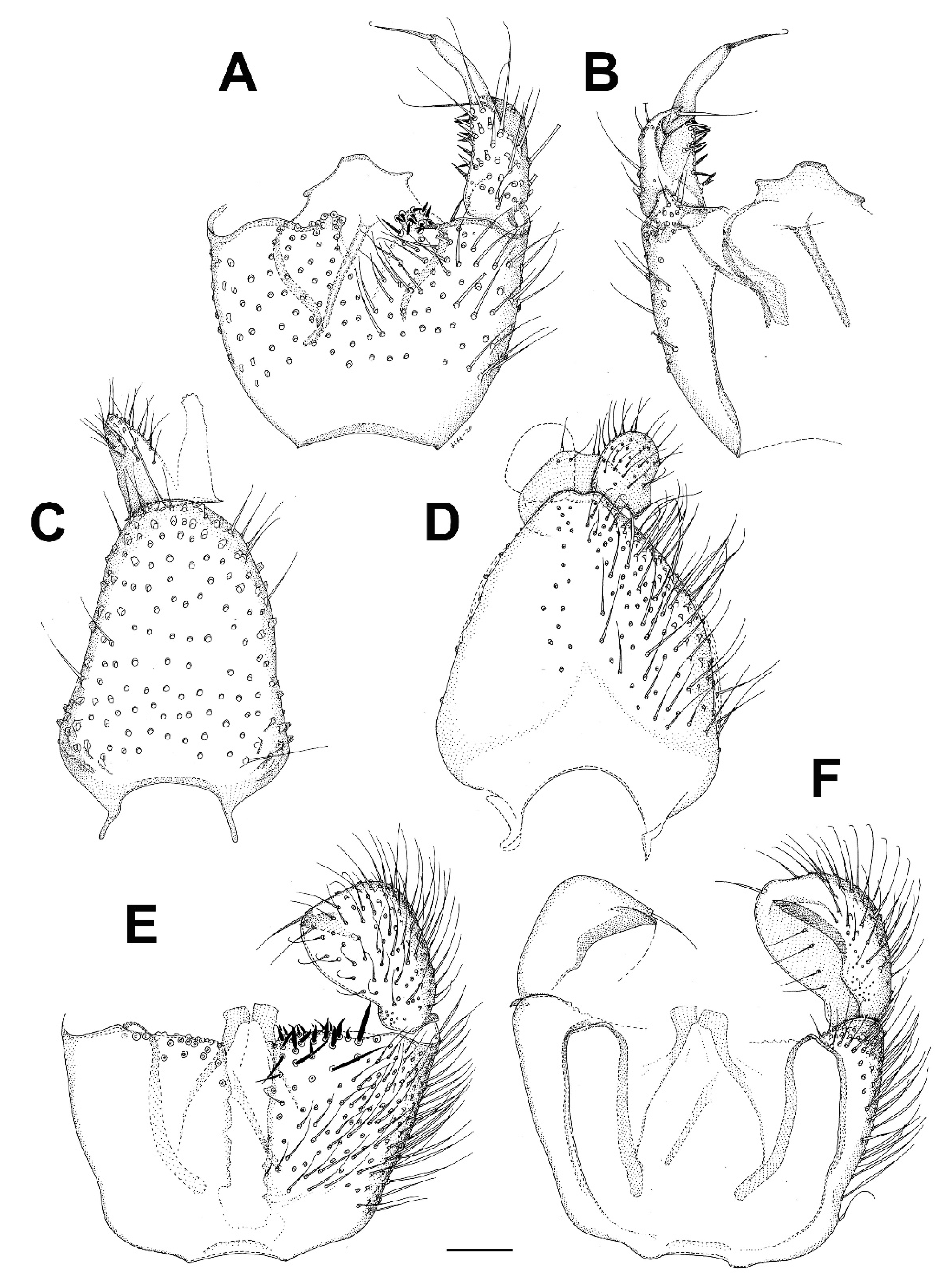 Insects 13 00019 g014