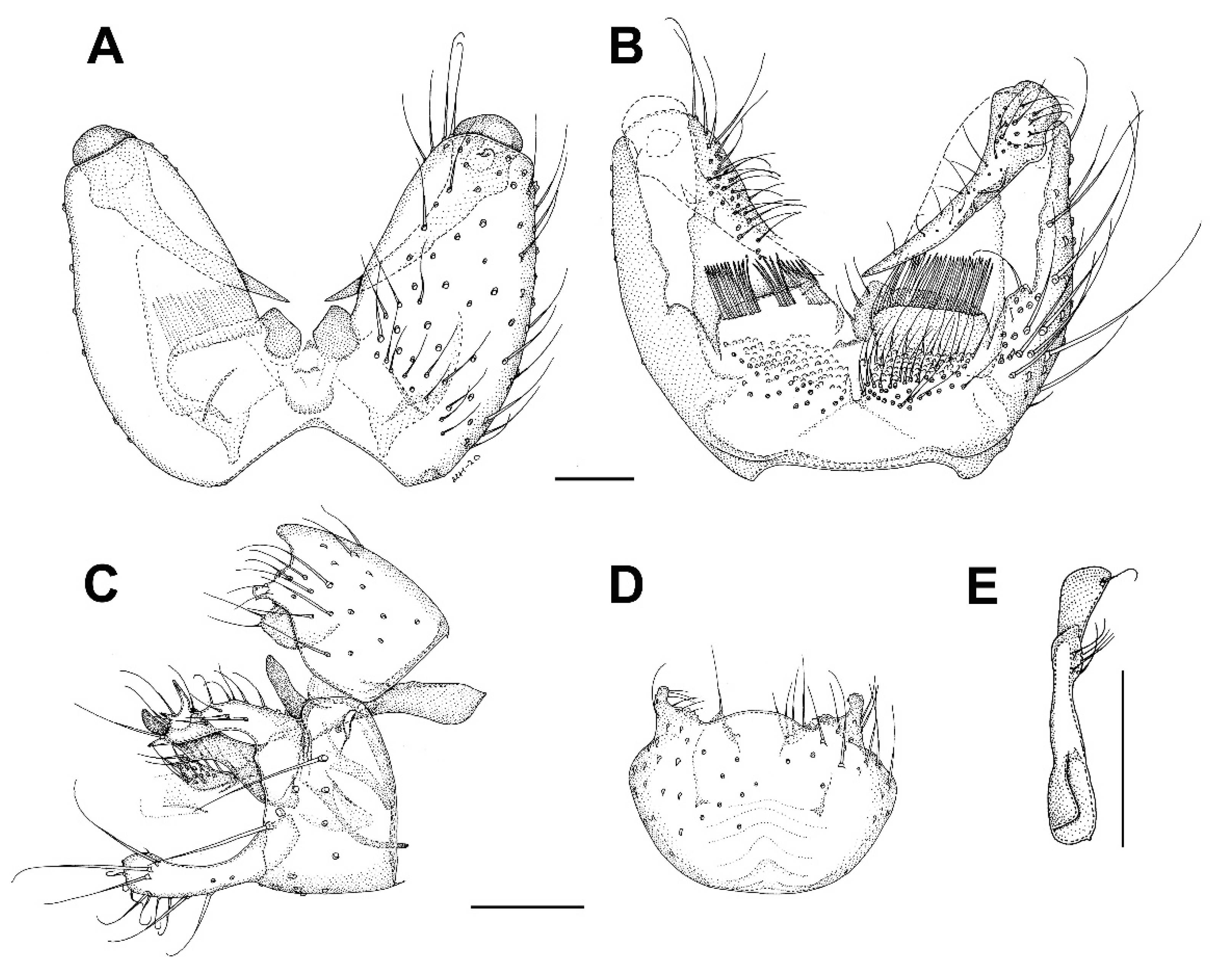 Insects 13 00019 g016