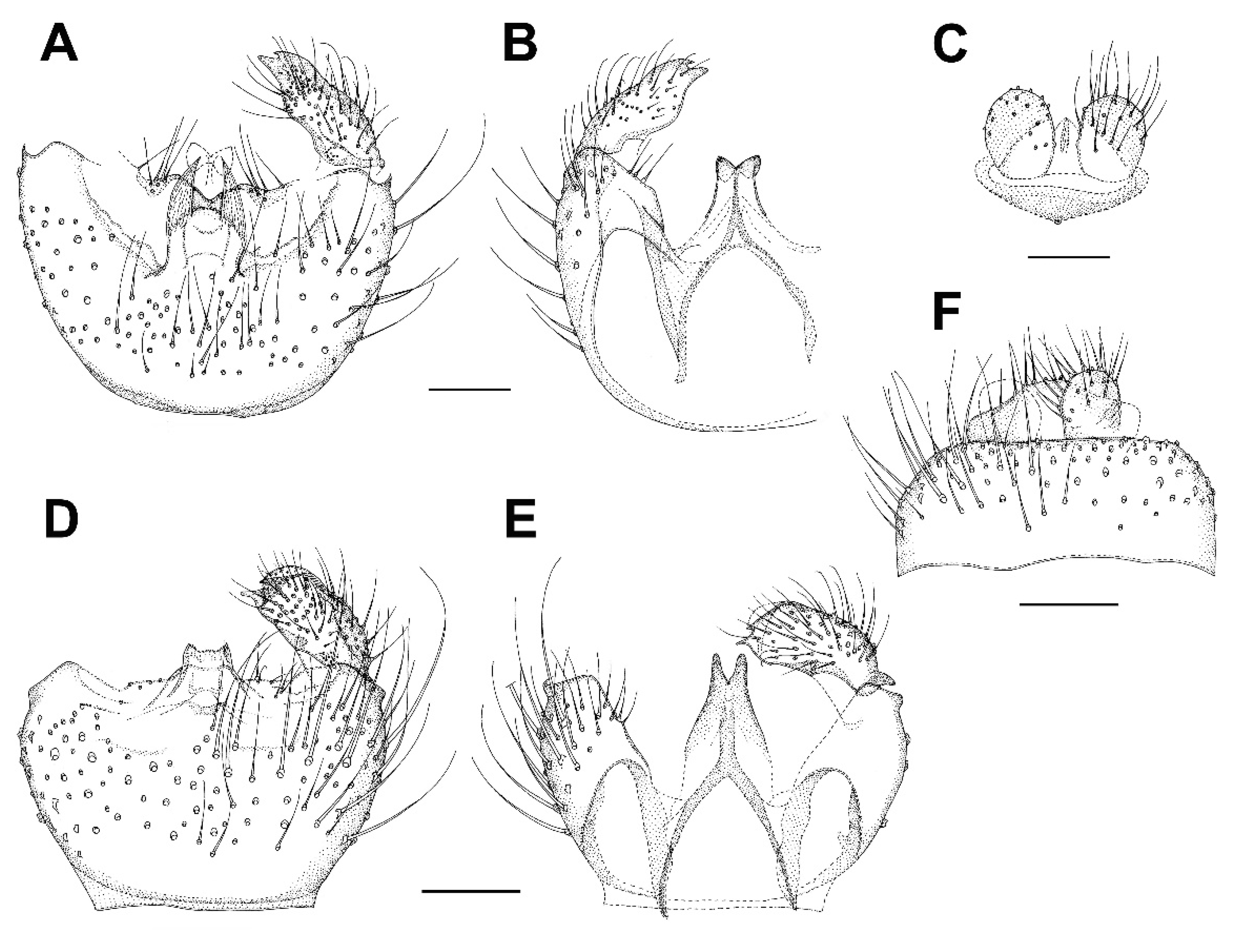 Insects 13 00019 g017