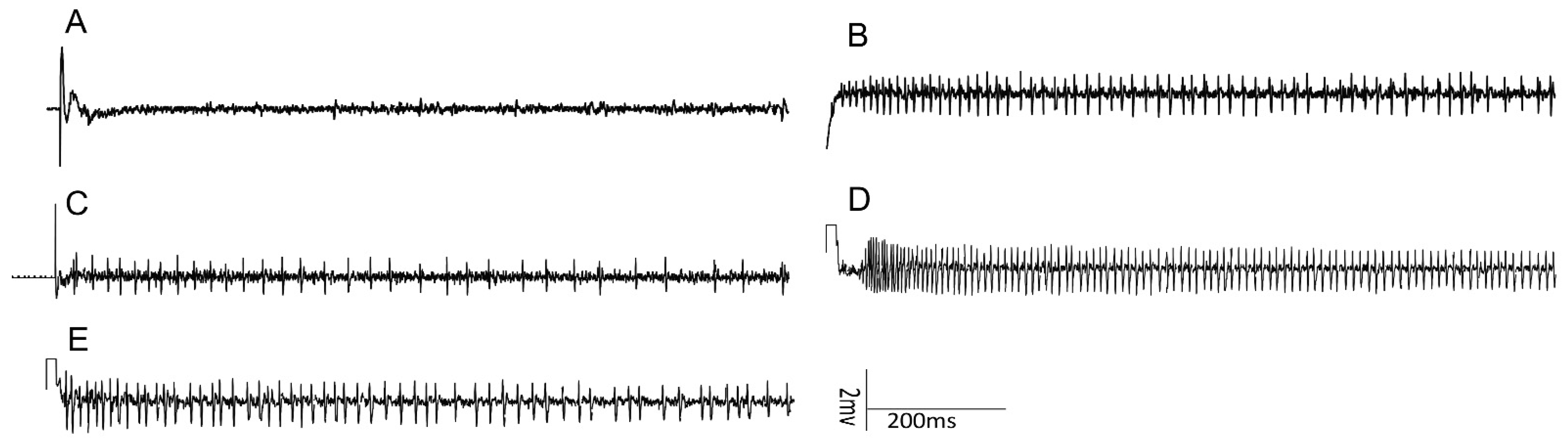 Insects 13 00021 g004