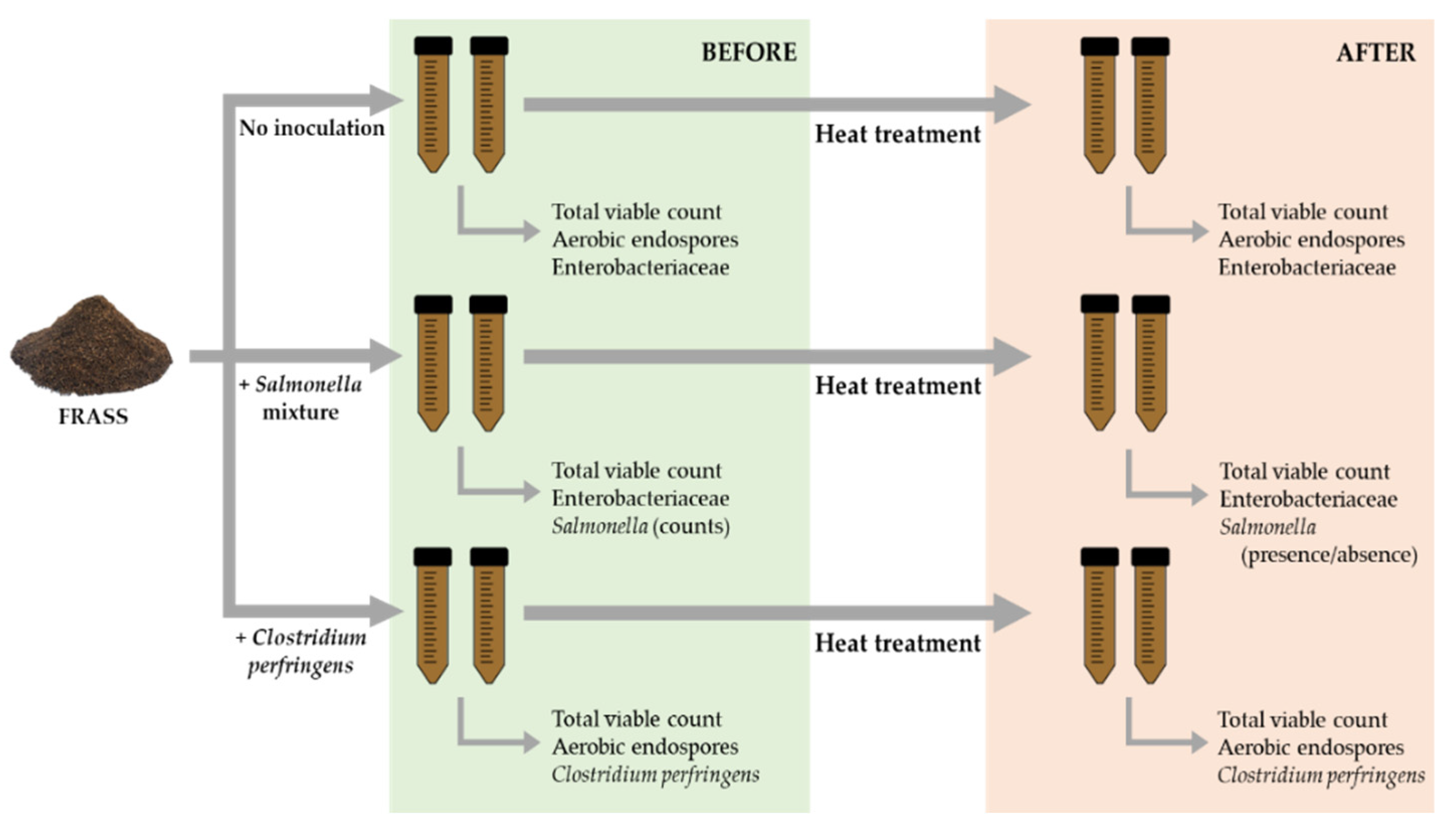 Insects 13 00022 g001