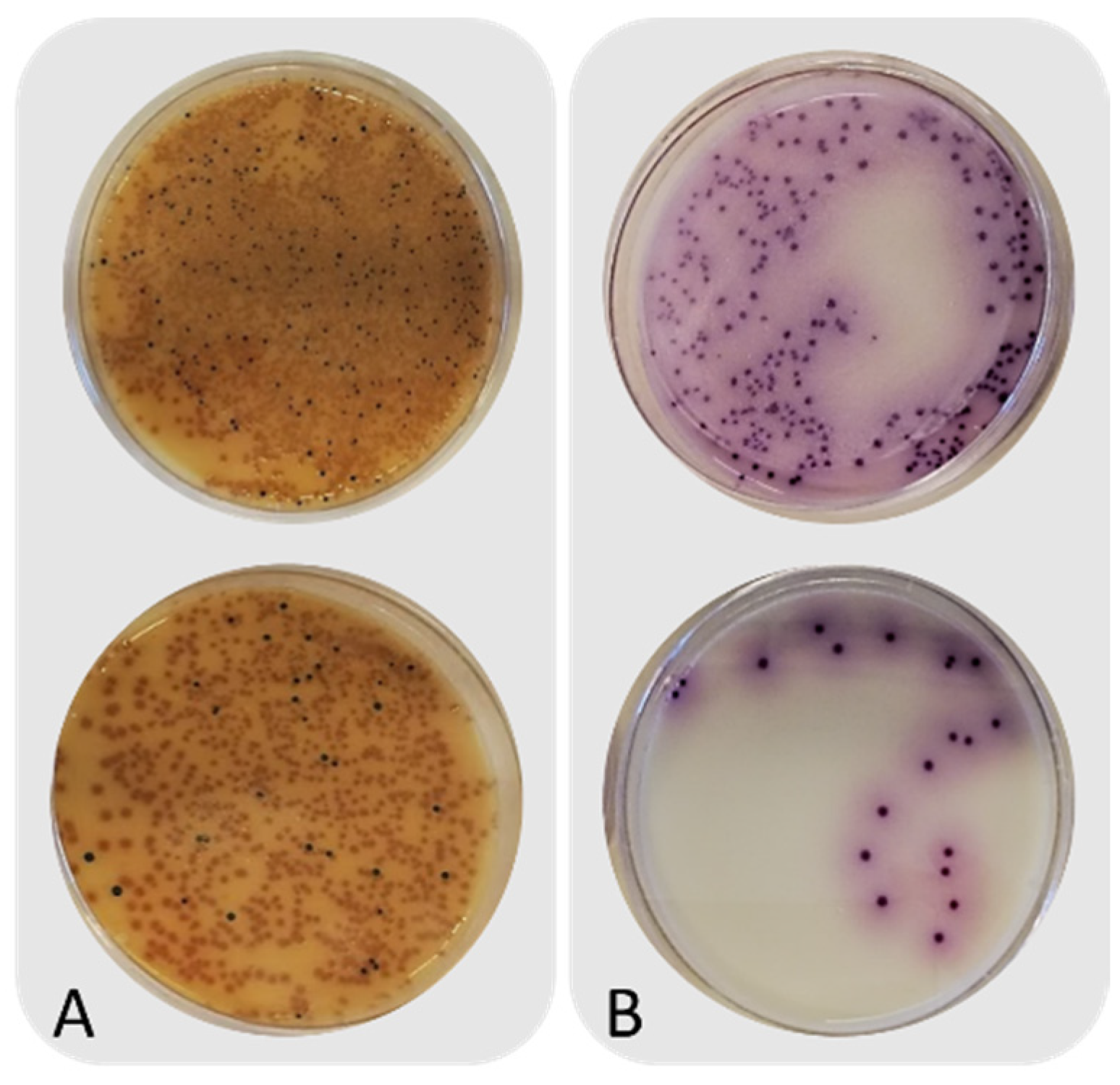 Insects 13 00022 g0a1