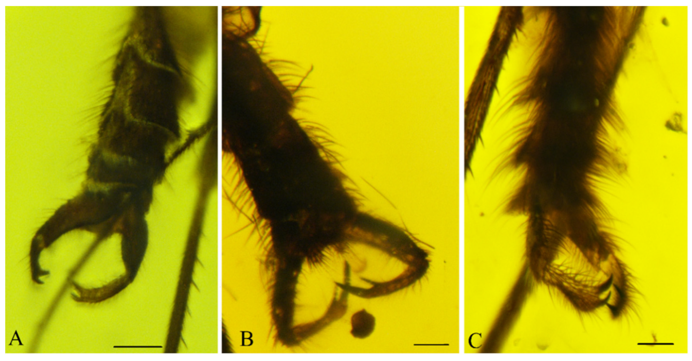 Insects 13 00024 g002