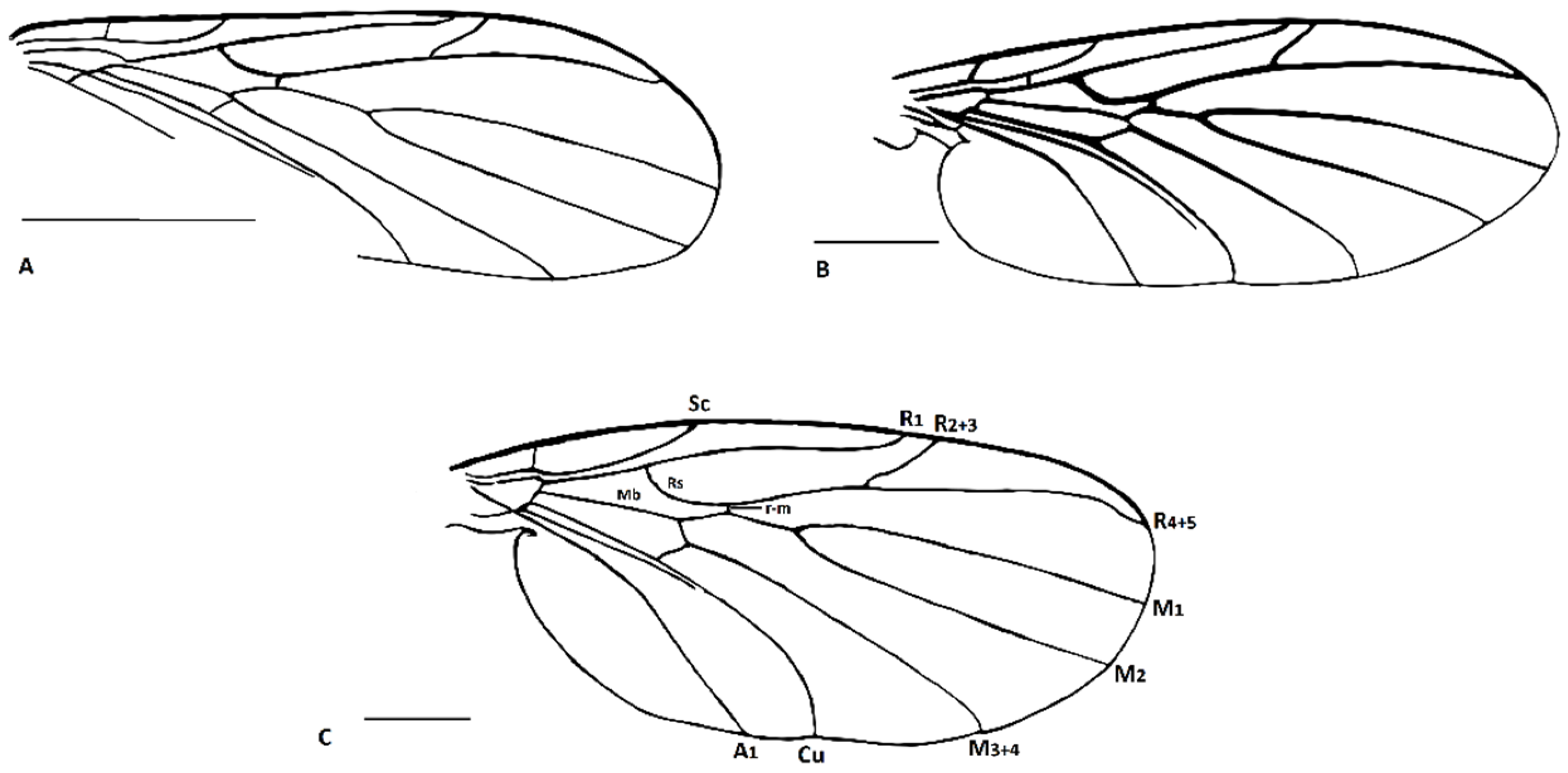 Insects 13 00024 g003