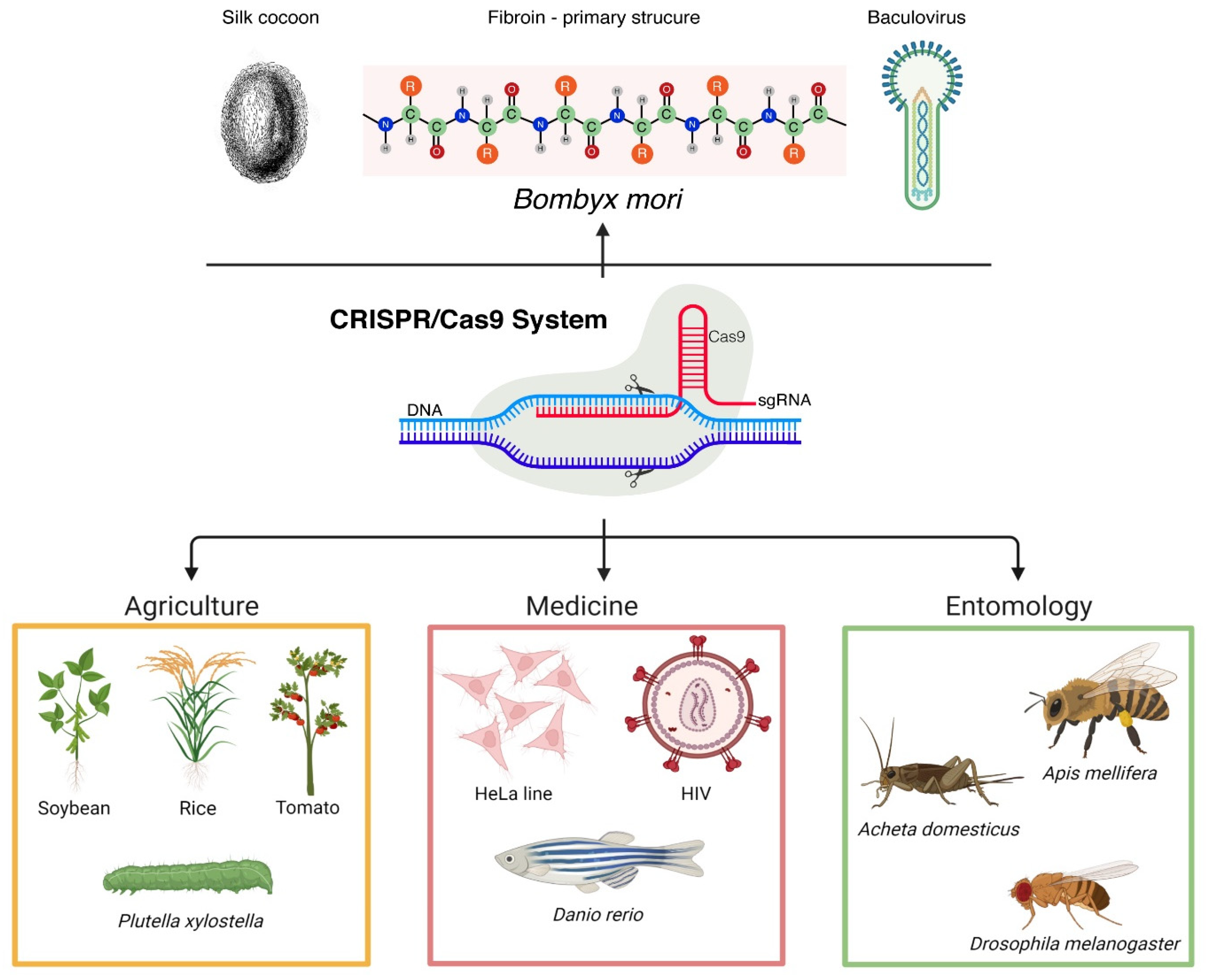 Insects 13 00028 g001
