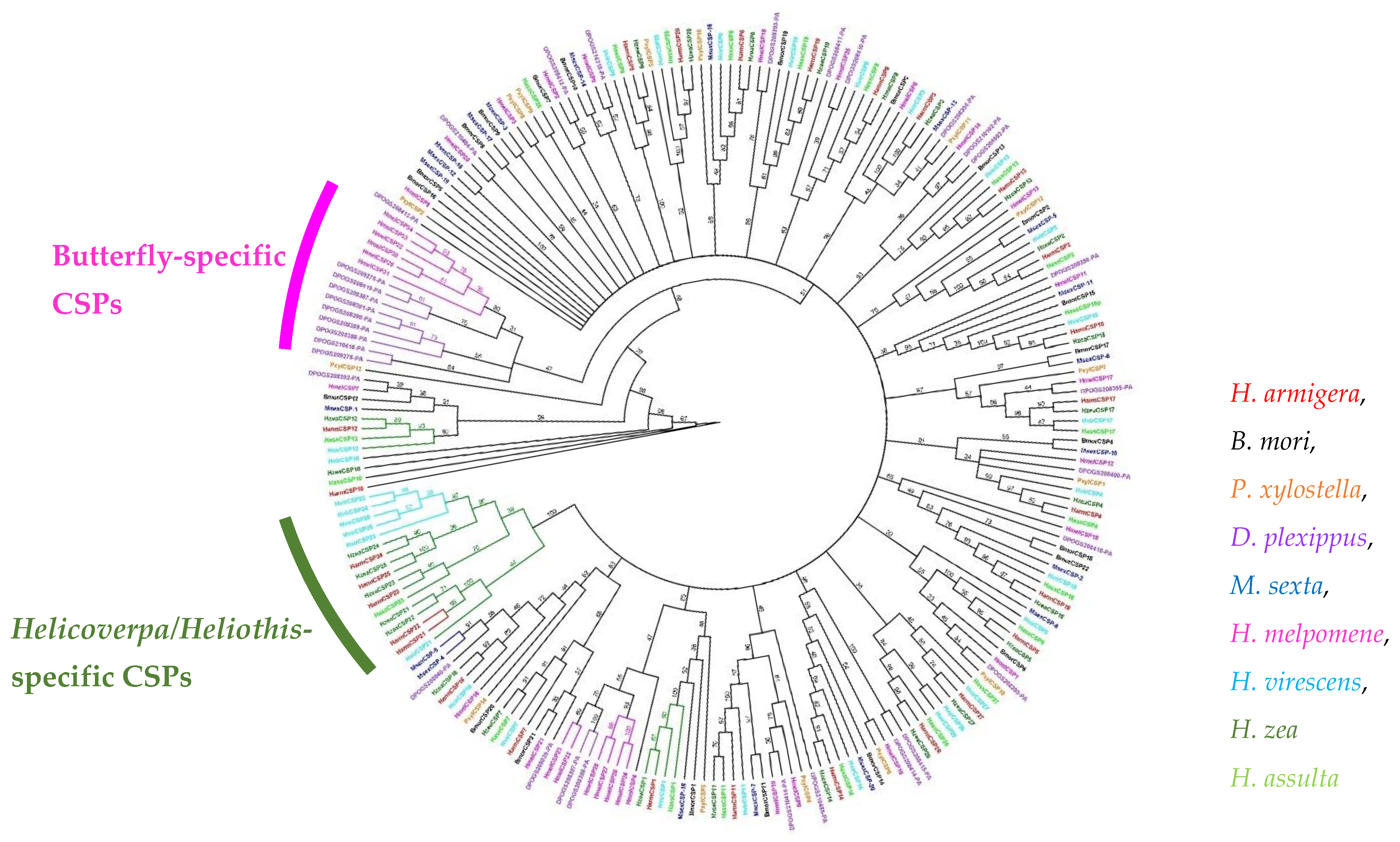 Insects 13 00029 g001