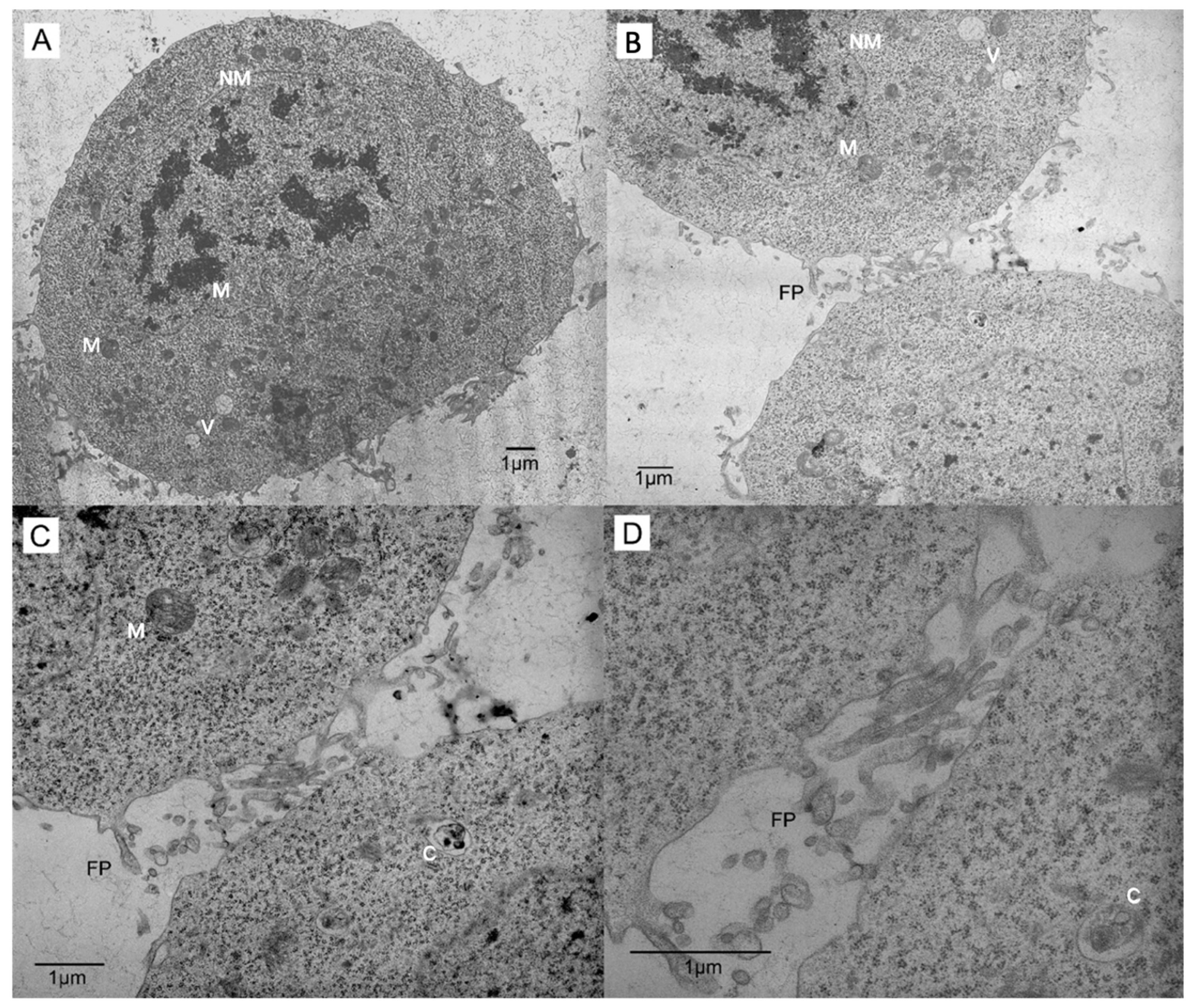 Insects 13 00032 g001 Insects 13 00032 g001