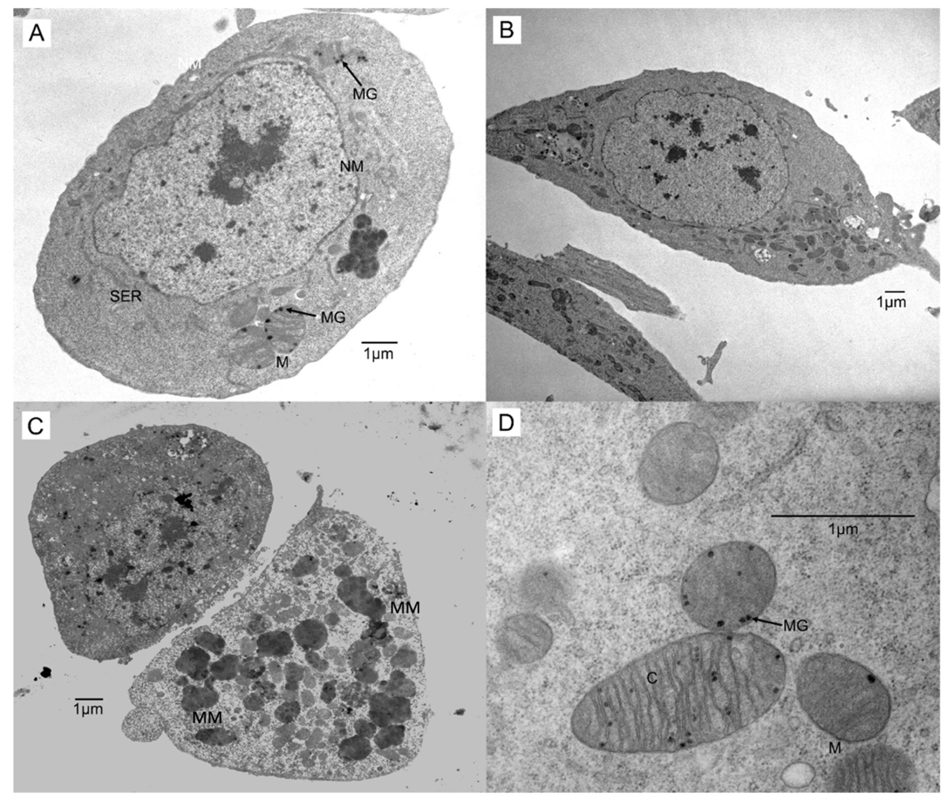 Insects 13 00032 g002 Insects 13 00032 g002