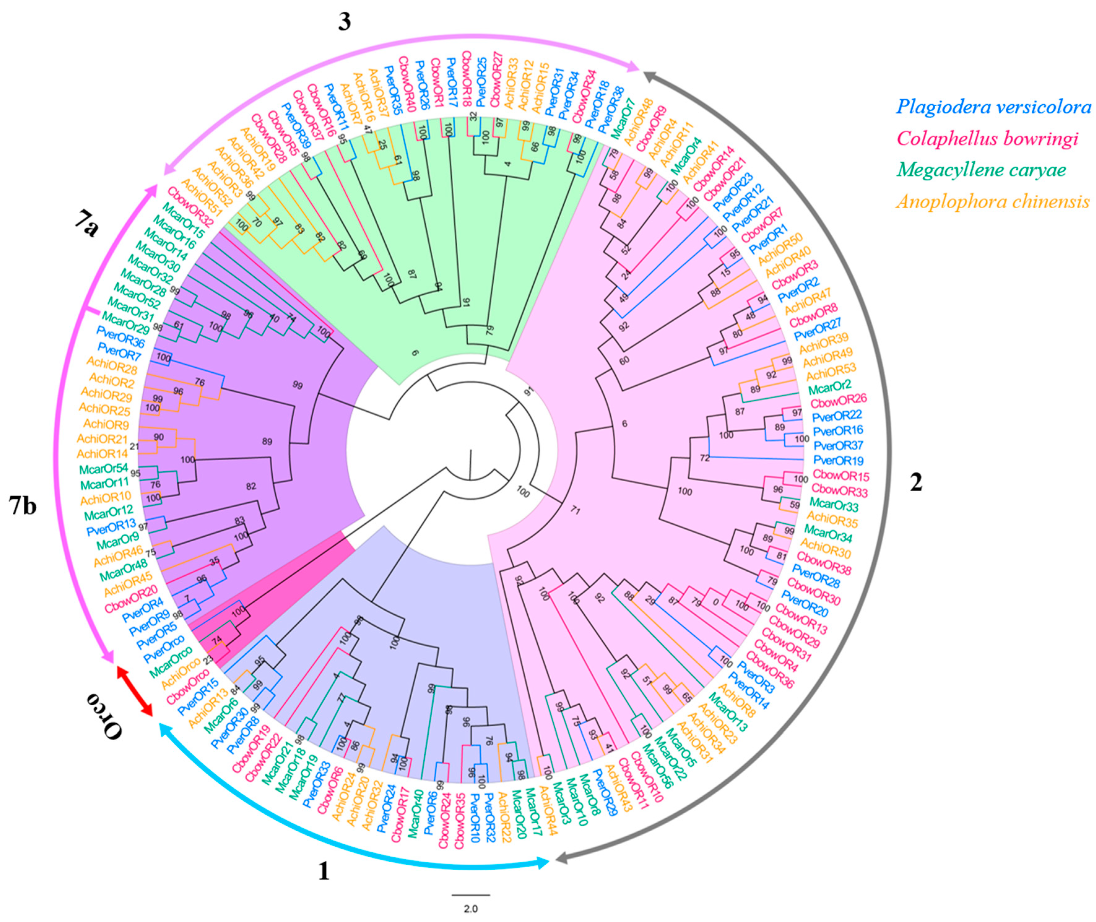 Insects 13 00036 g006