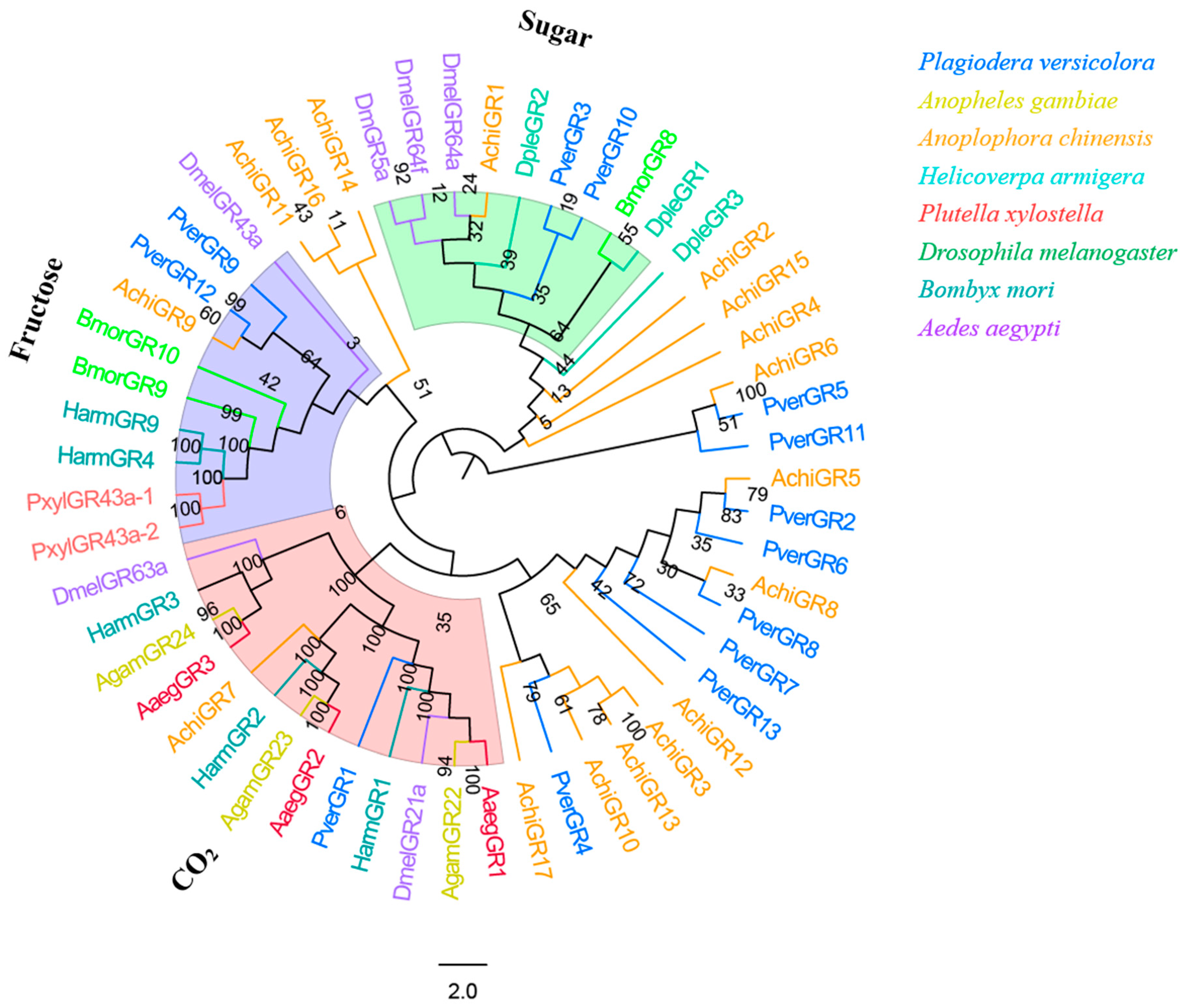 Insects 13 00036 g008