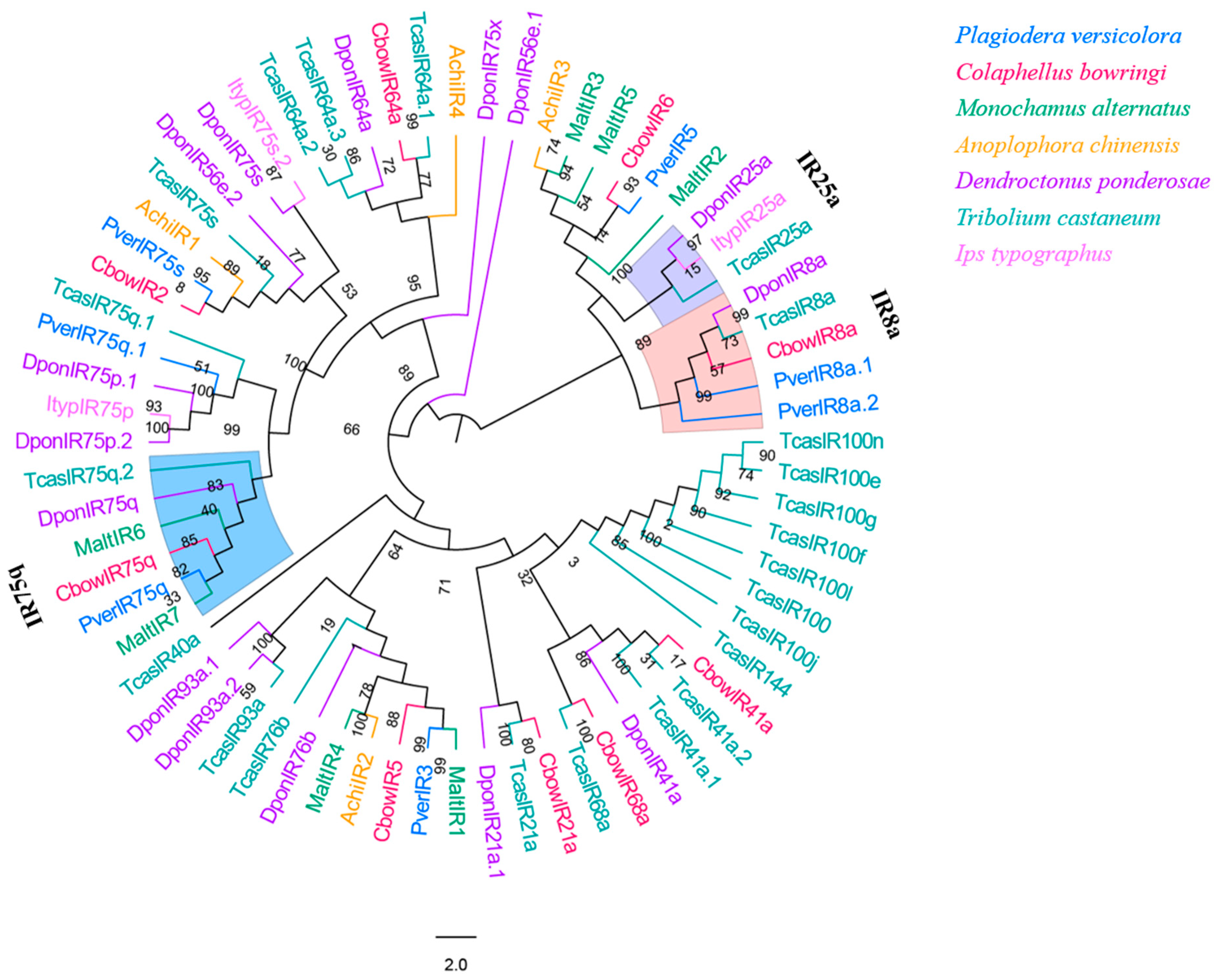 Insects 13 00036 g009