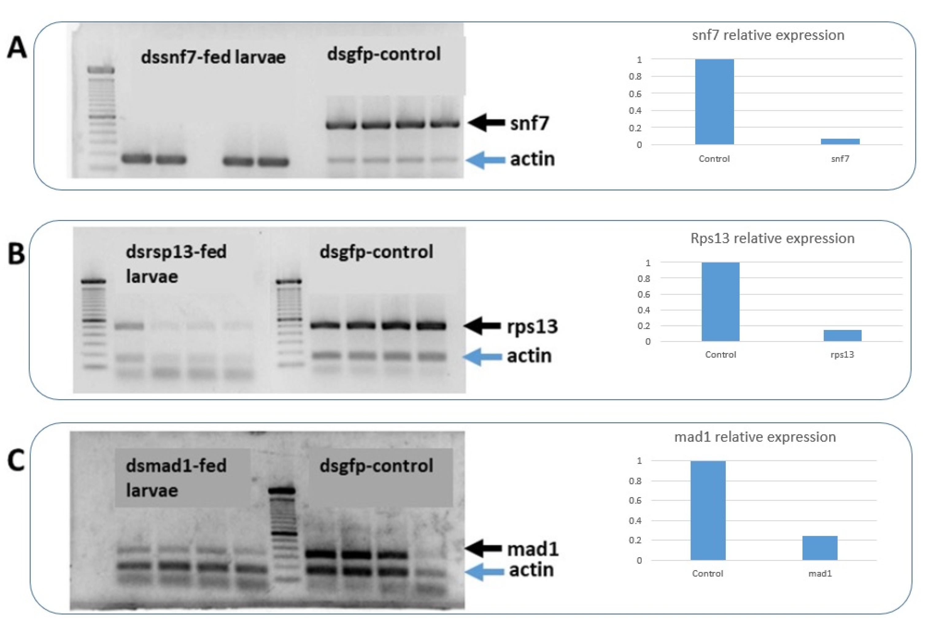 Insects 13 00040 g004
