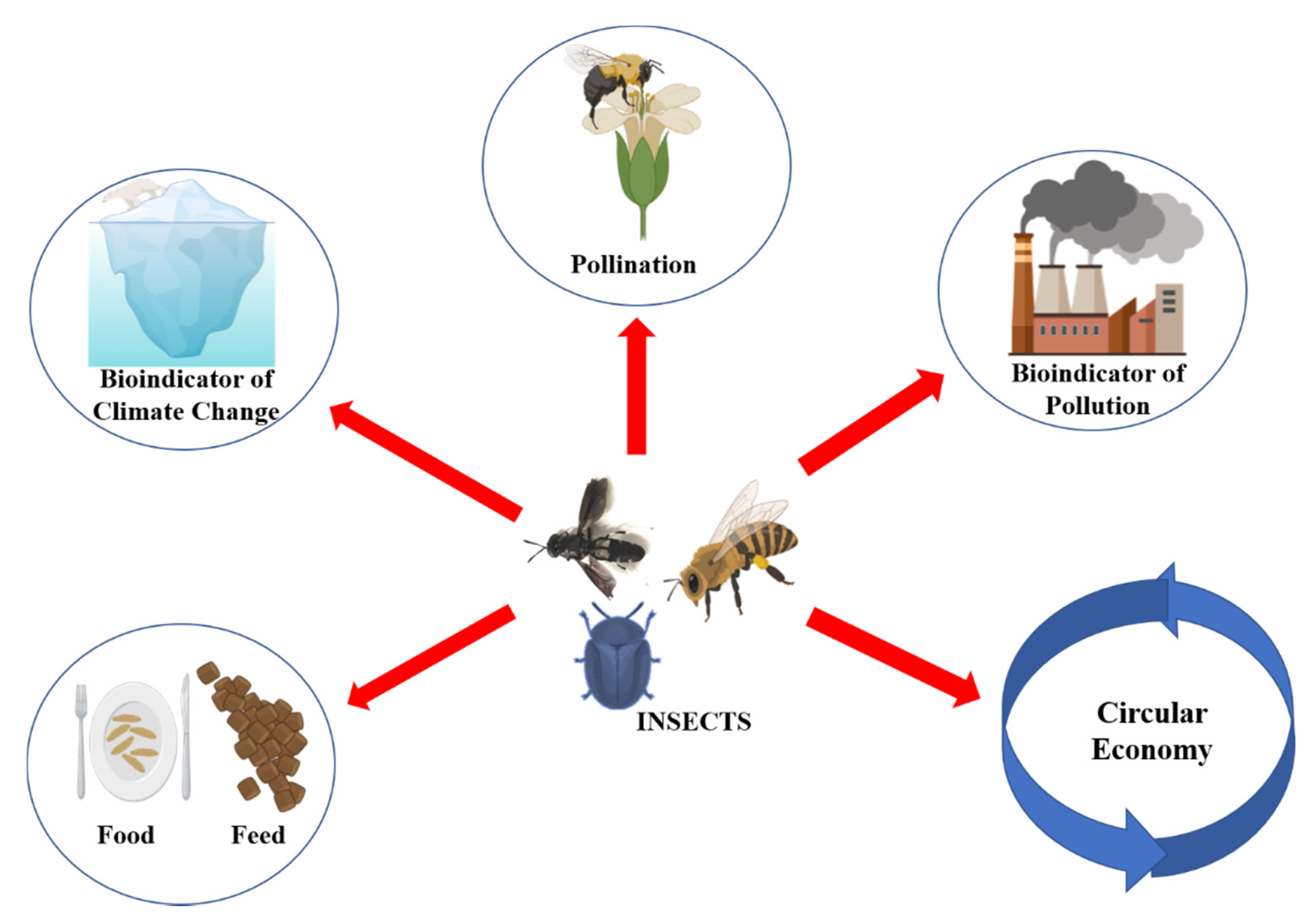 Insects 13 00041 g001 Insects 13 00041 g001
