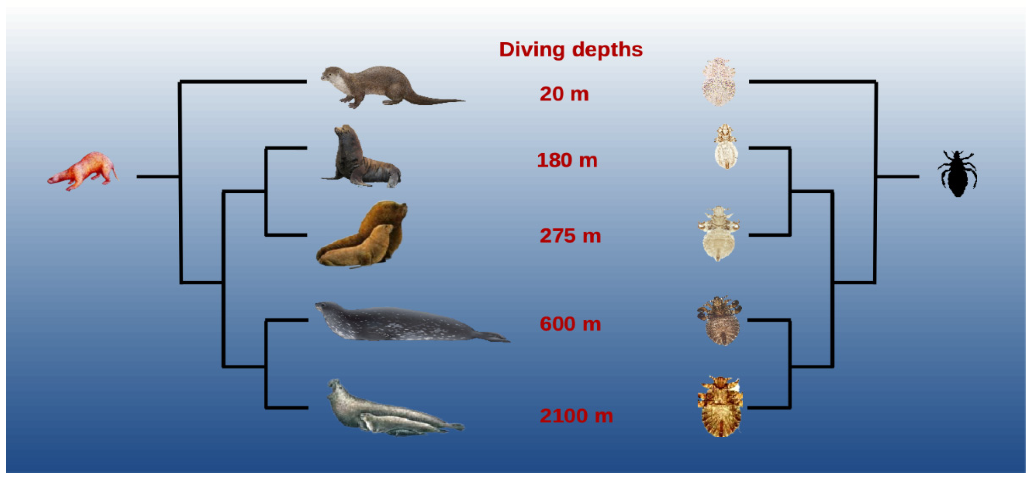 Insects 13 00046 g001