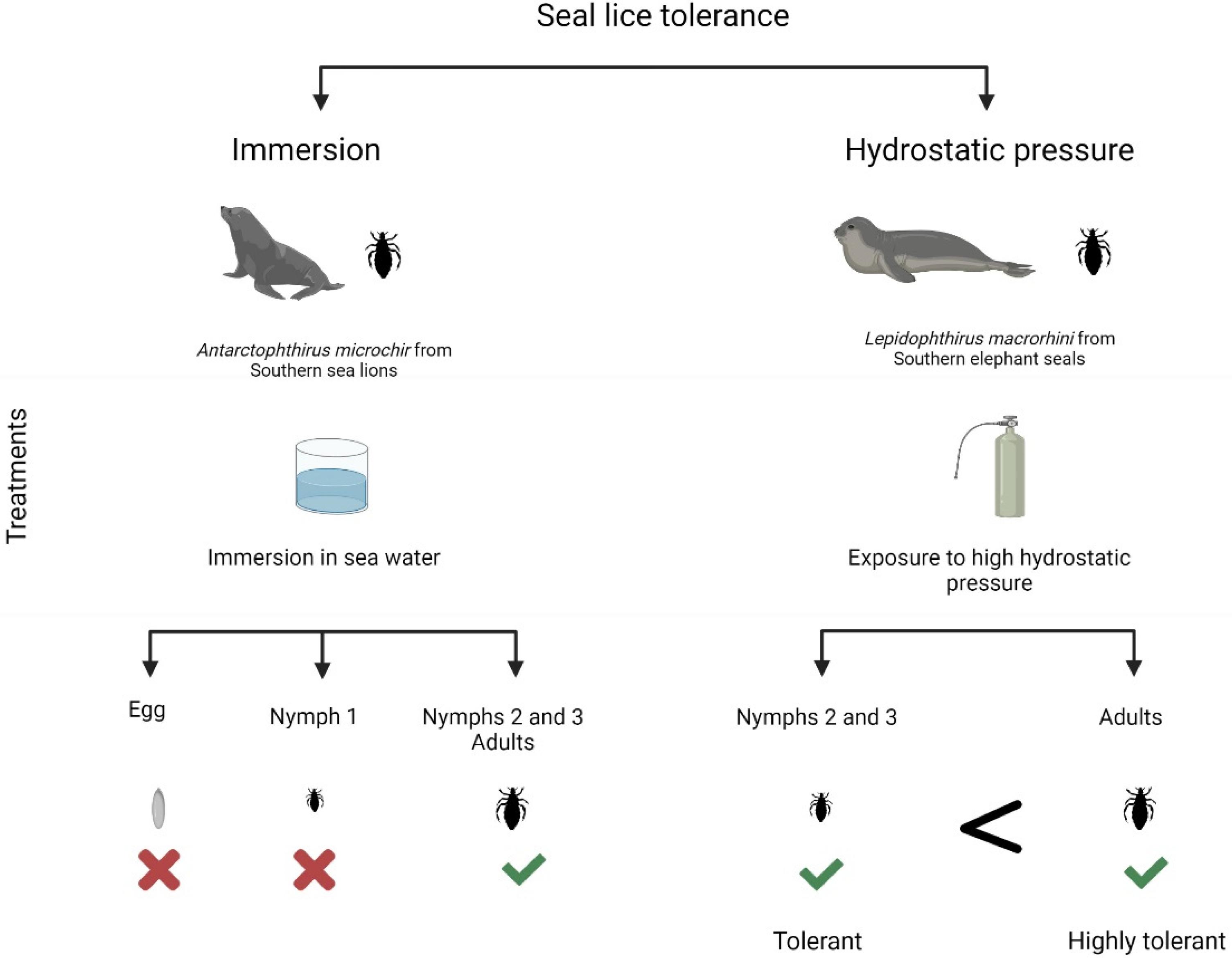 Insects 13 00046 g003