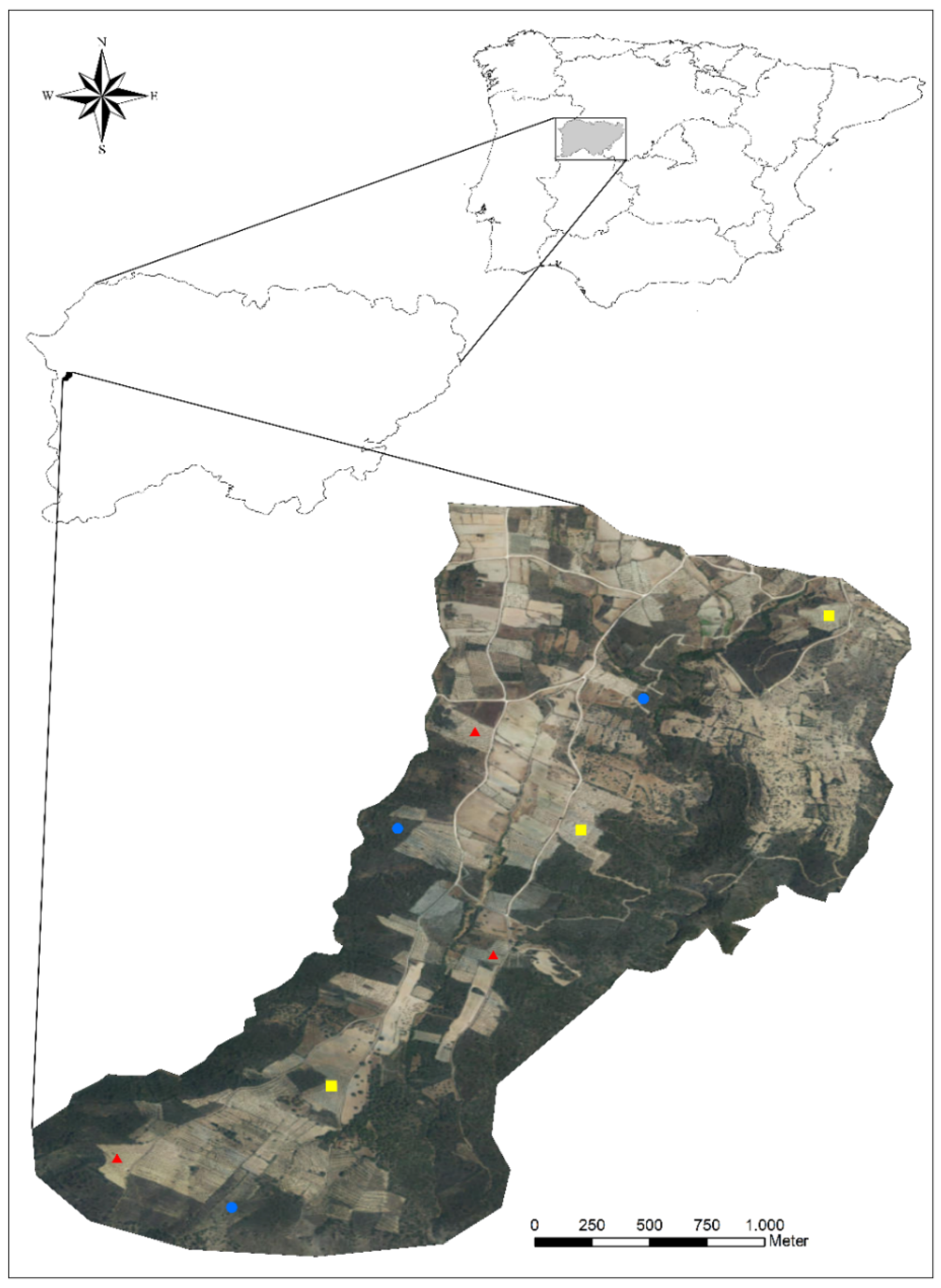 Insects 13 00048 g001