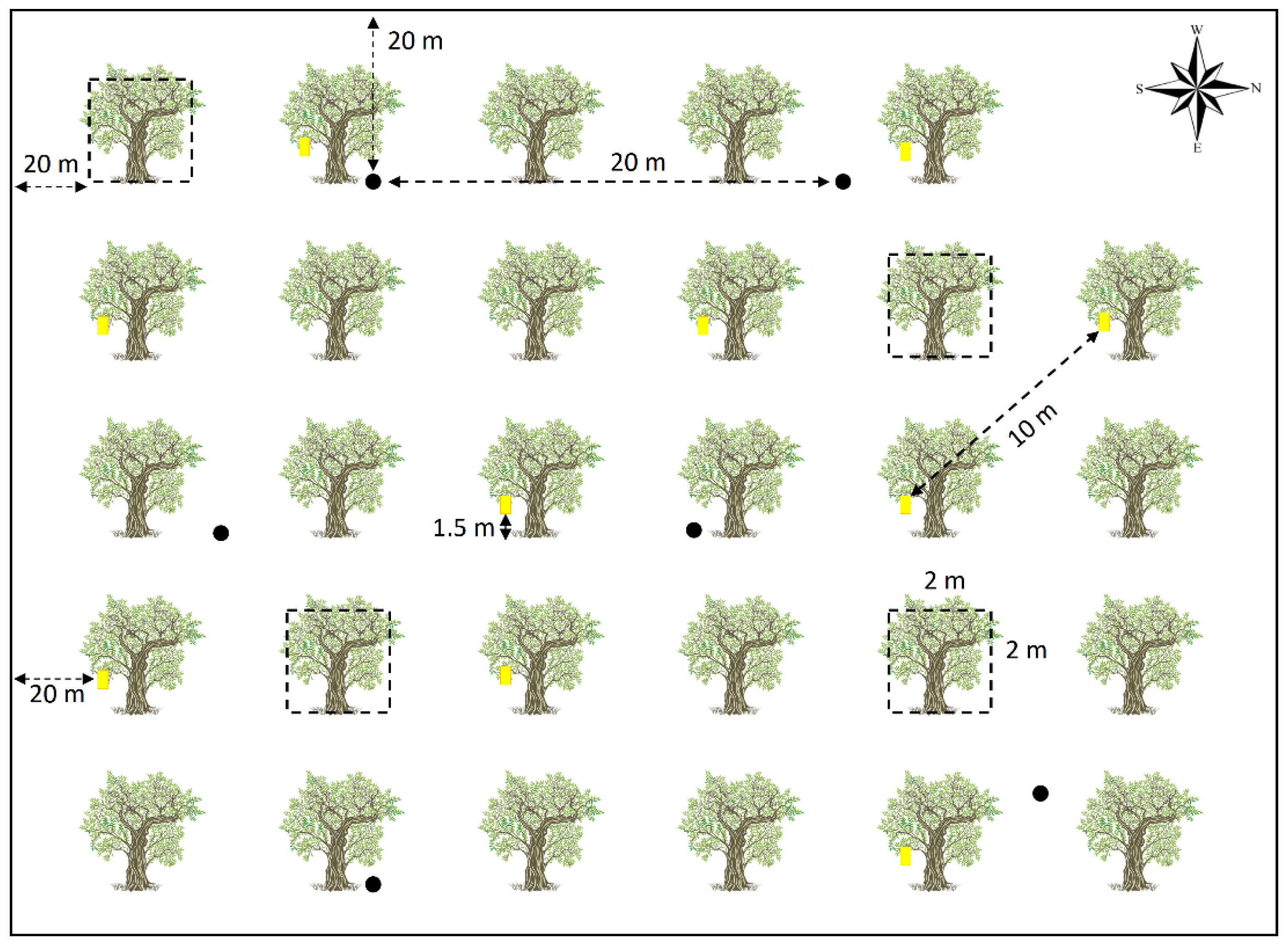 Insects 13 00048 g002