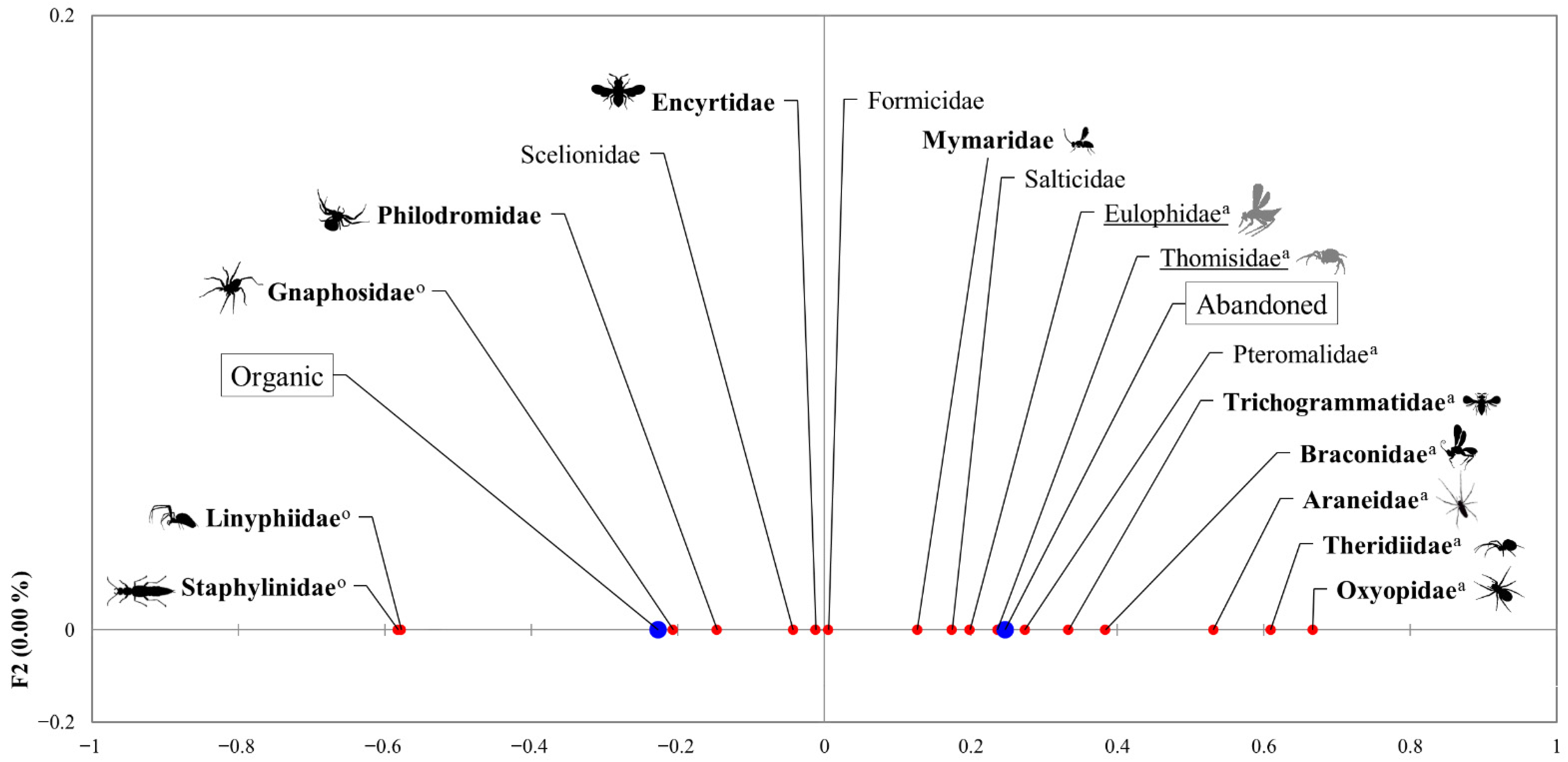 Insects 13 00048 g004