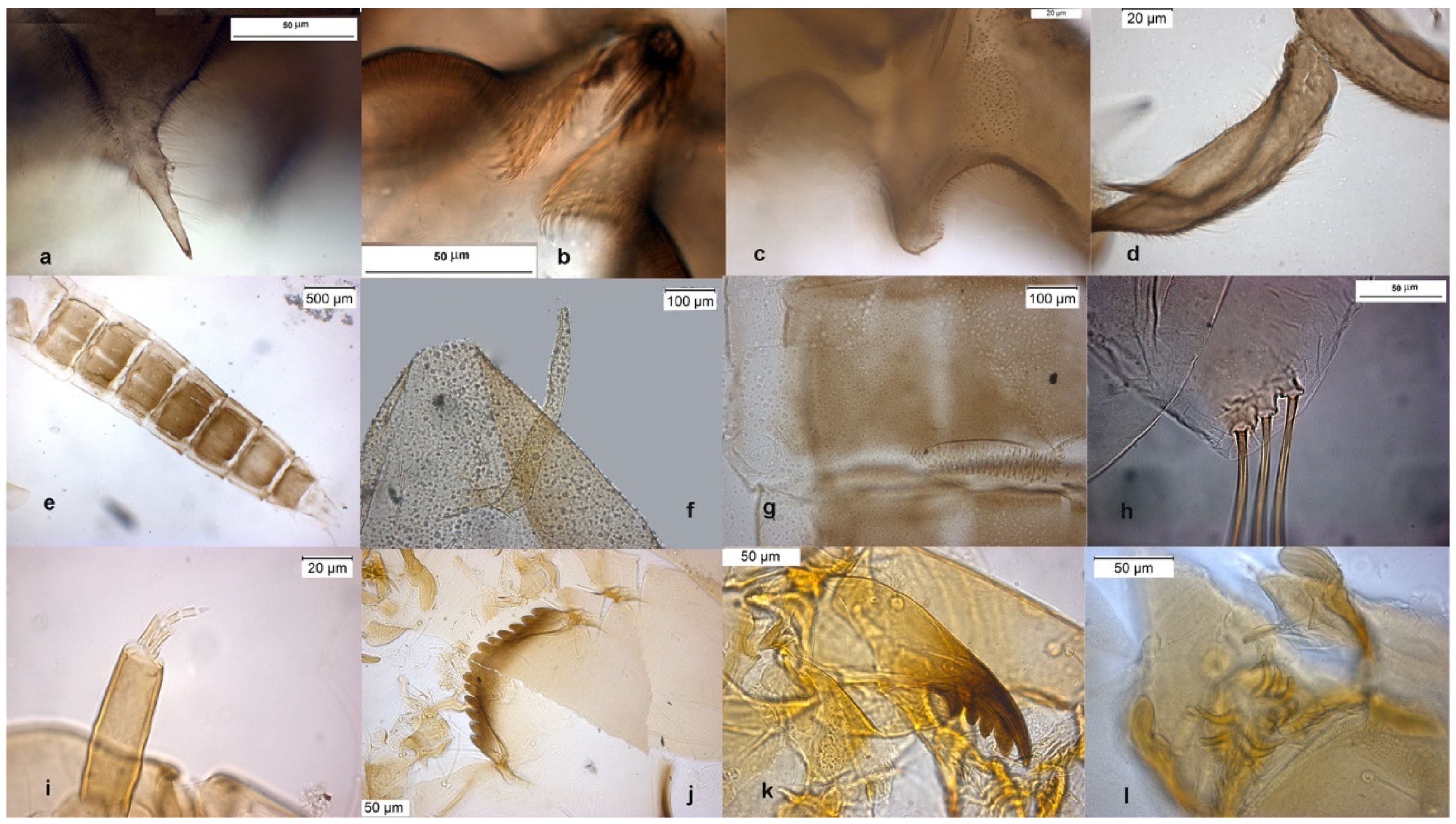 Insects 13 00051 g002 Insects 13 00051 g002