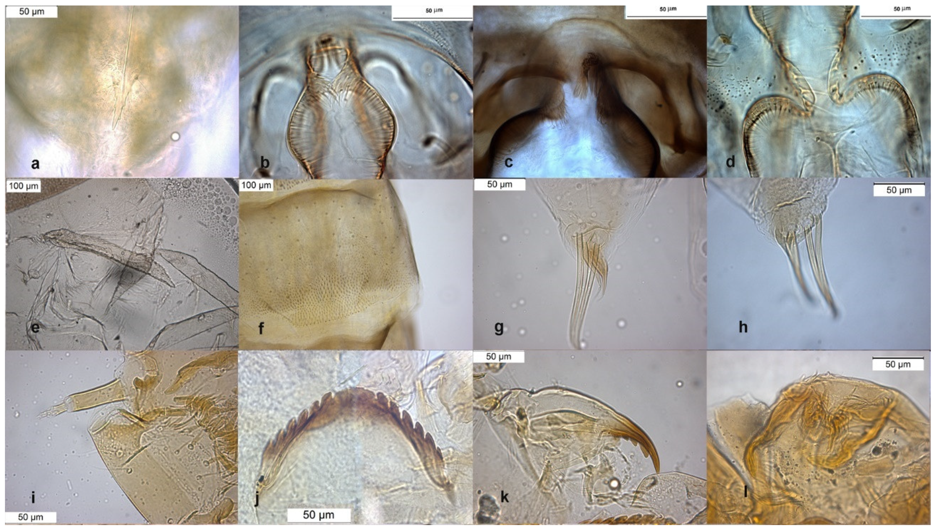 Insects 13 00051 g003 Insects 13 00051 g003