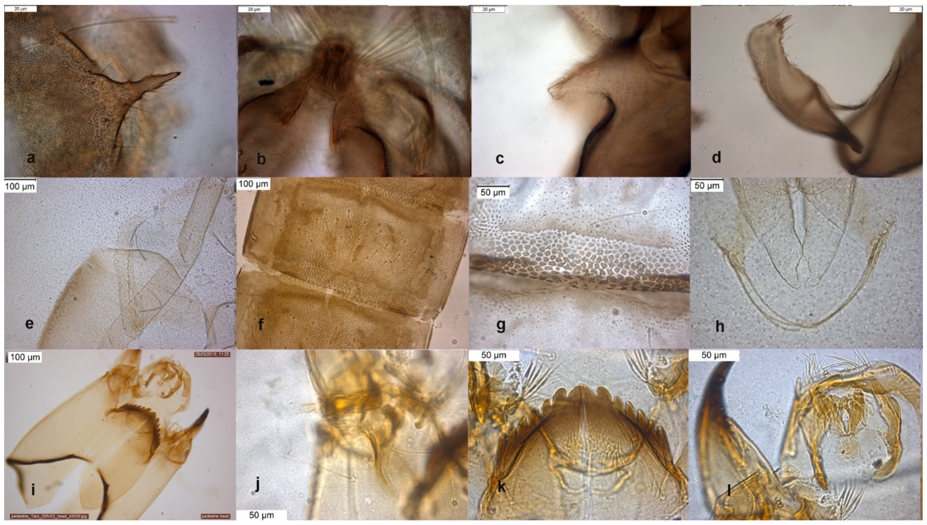 Insects 13 00051 g005 Insects 13 00051 g005