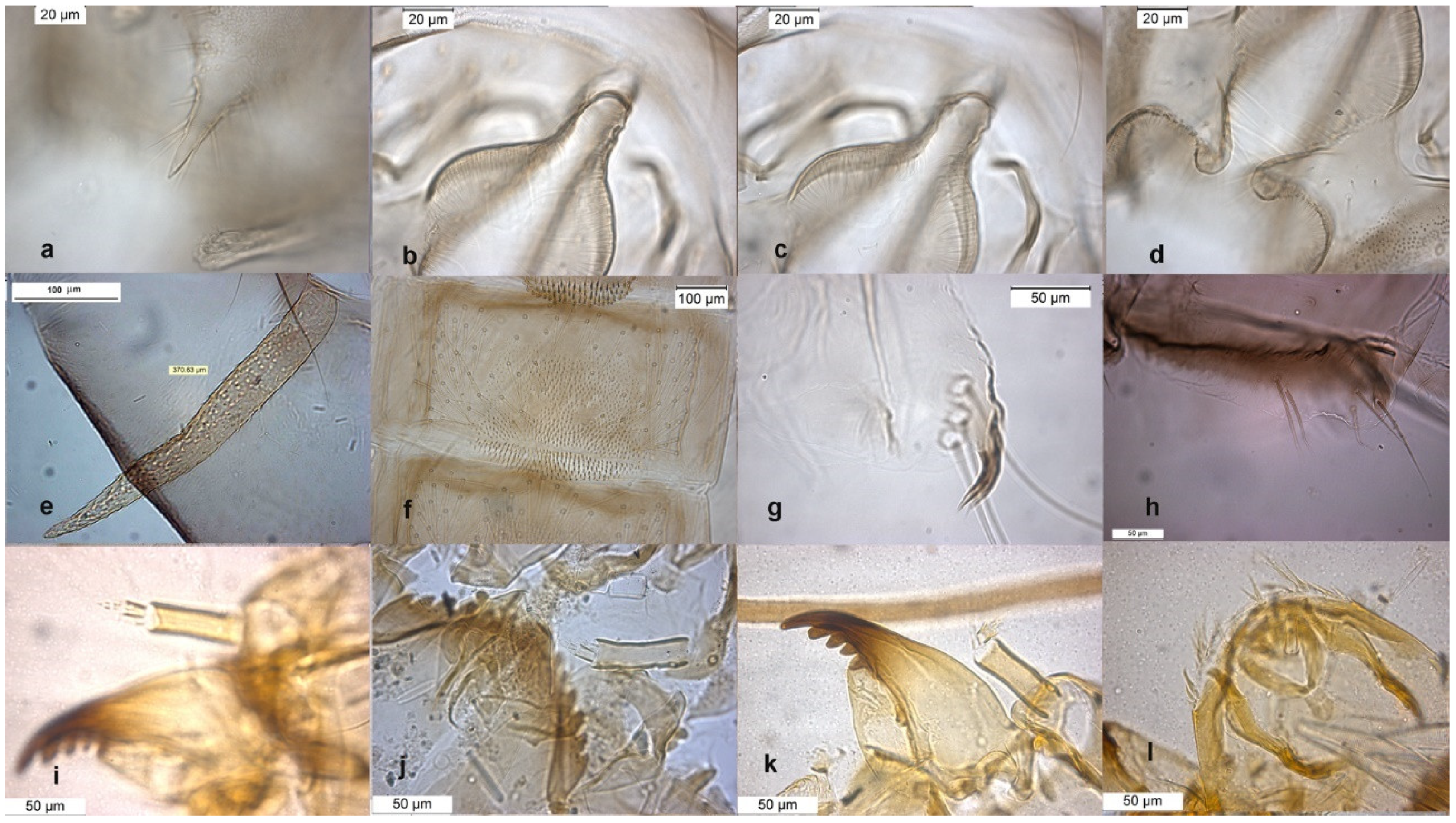 Insects 13 00051 g006 Insects 13 00051 g006