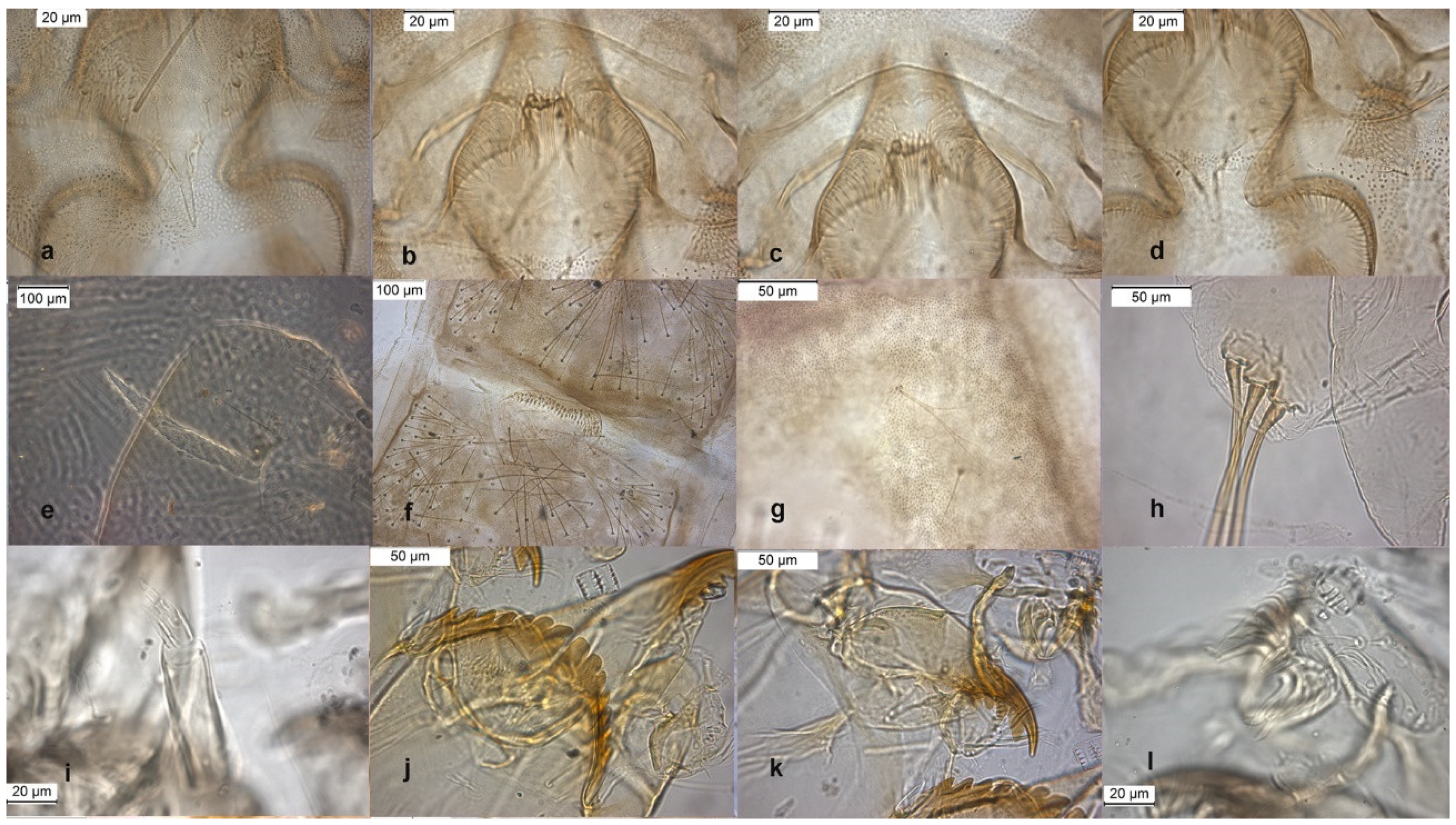 Insects 13 00051 g007 Insects 13 00051 g007