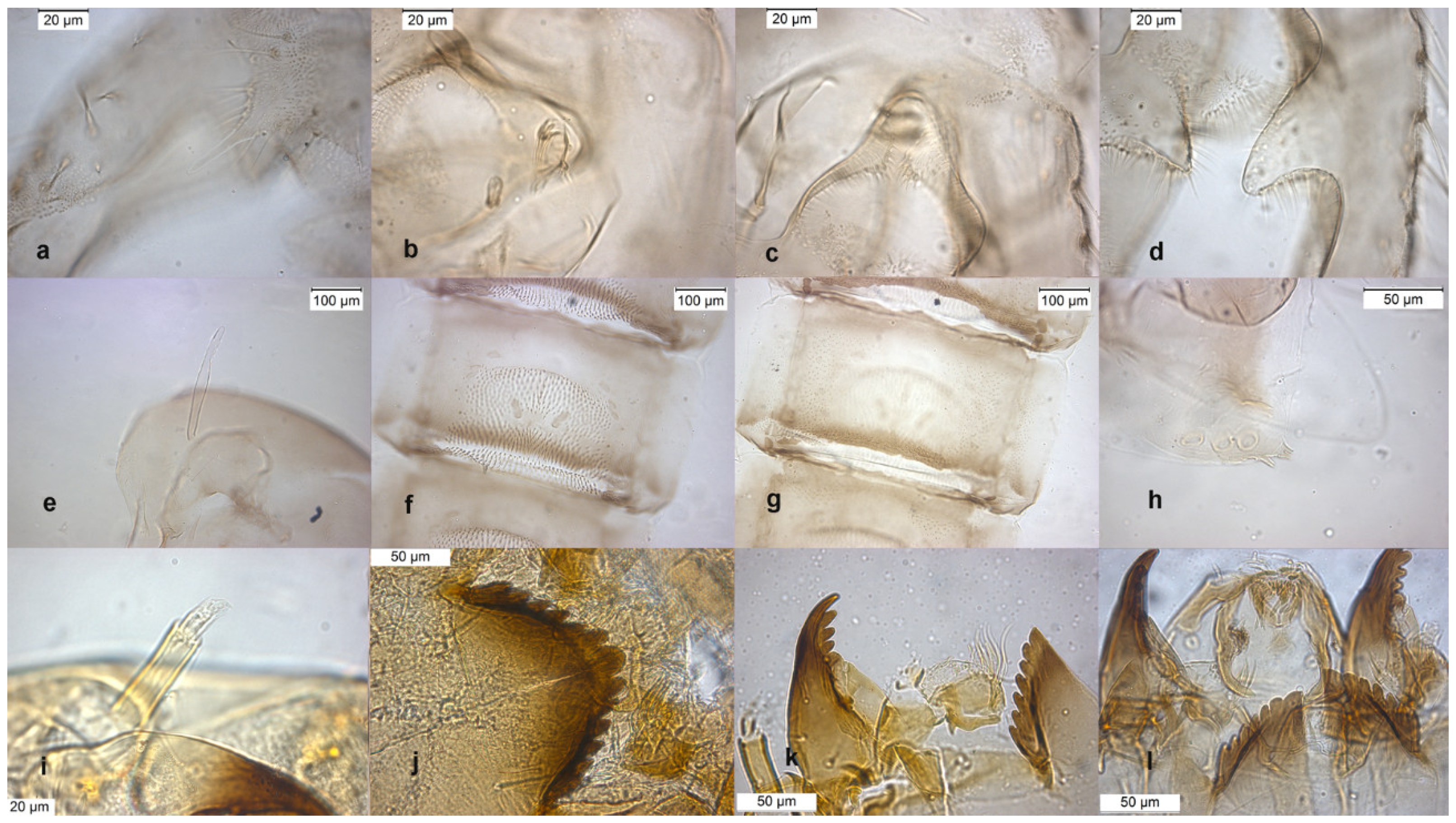 Insects 13 00051 g008 Insects 13 00051 g008