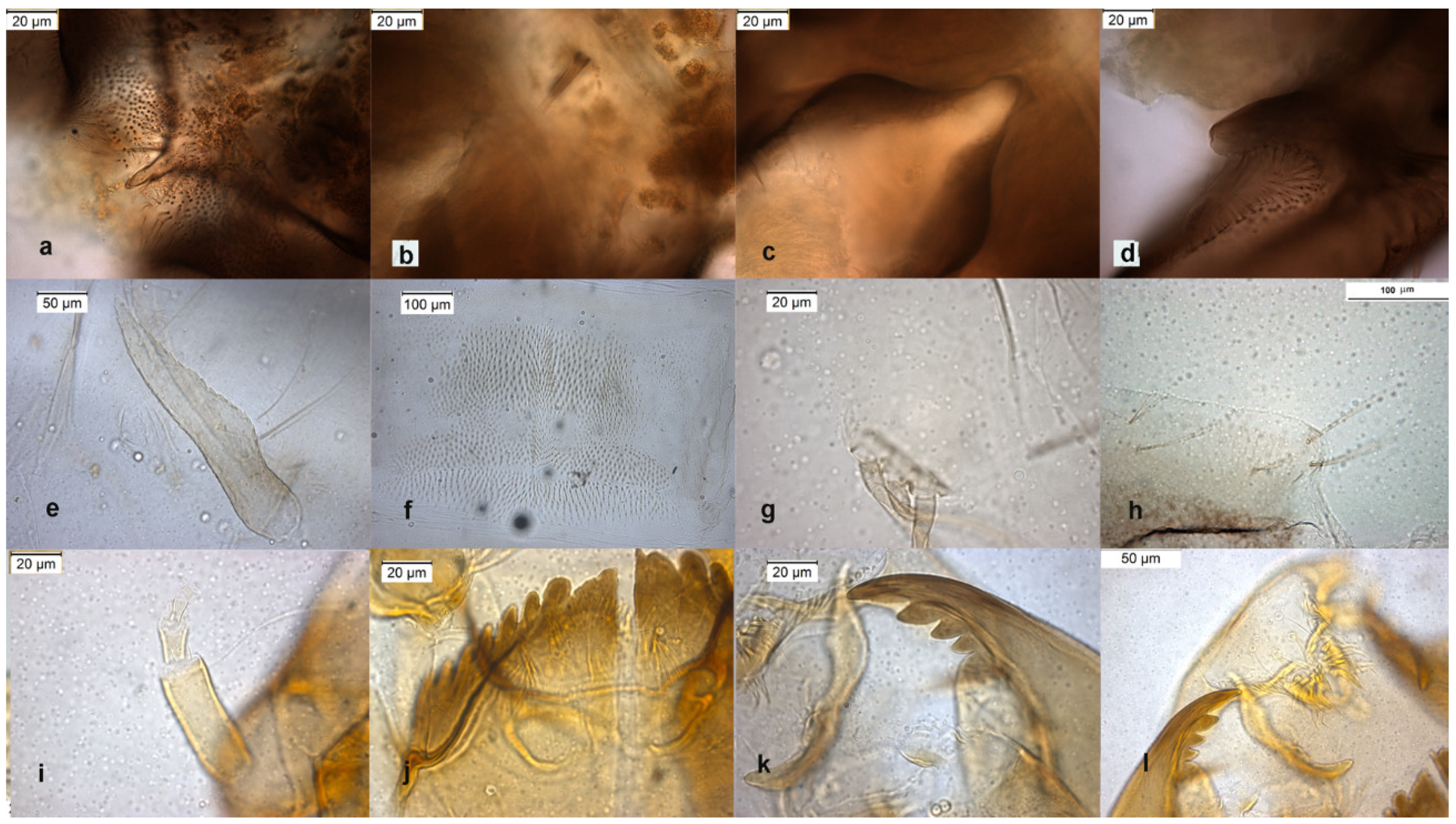 Insects 13 00051 g009 Insects 13 00051 g009