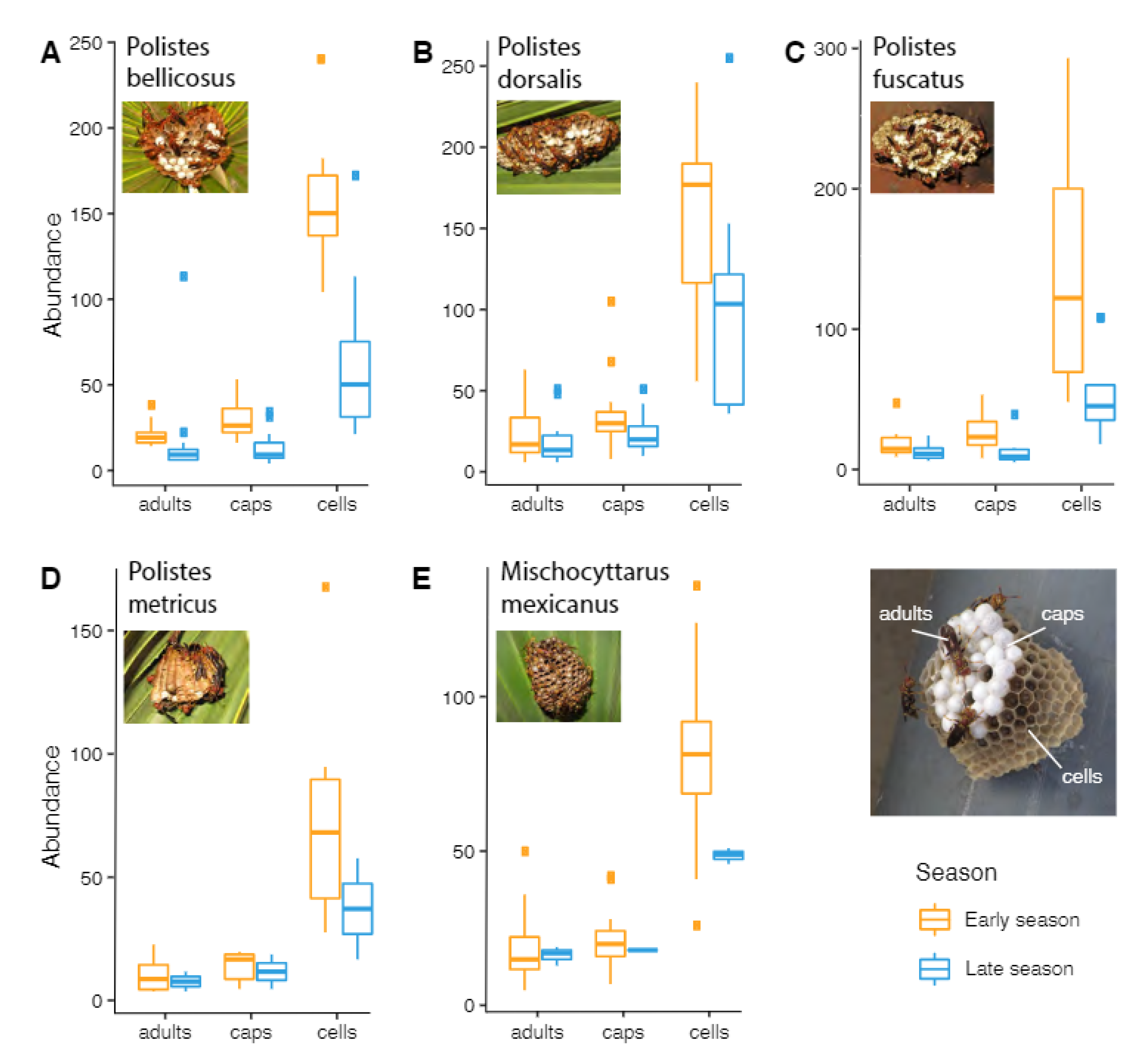 Insects 13 00053 g004