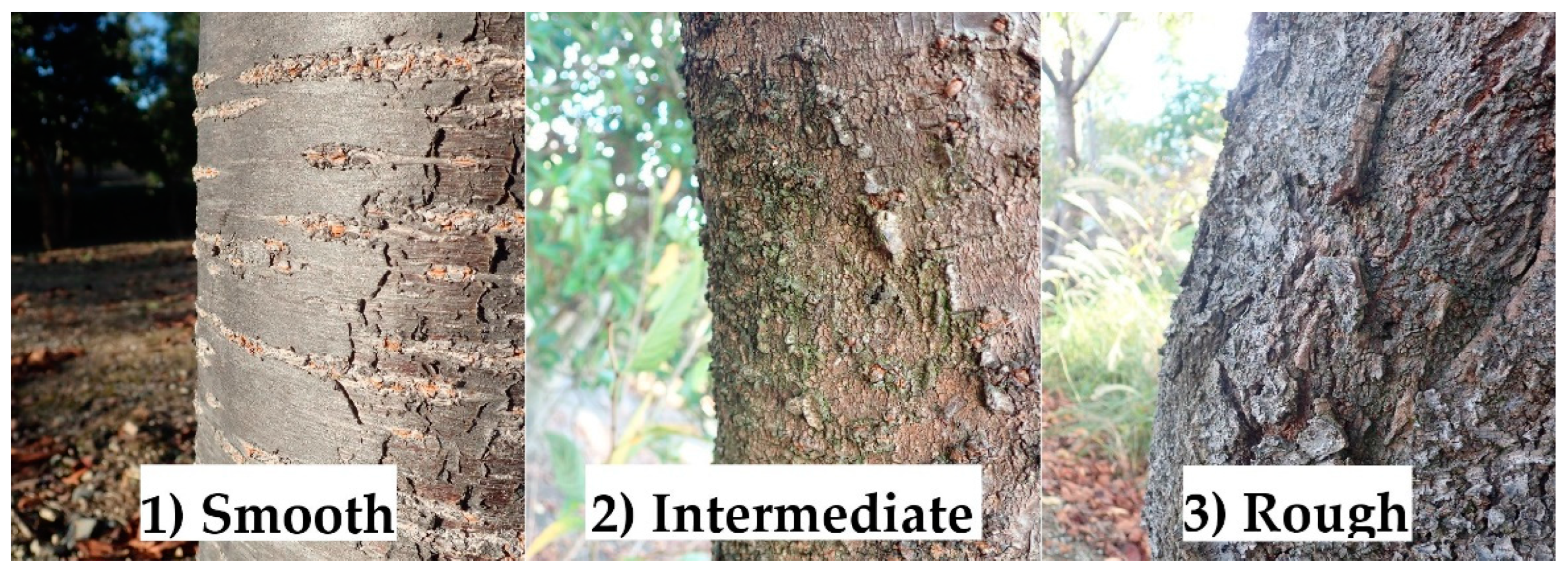 Insects 13 00054 g002