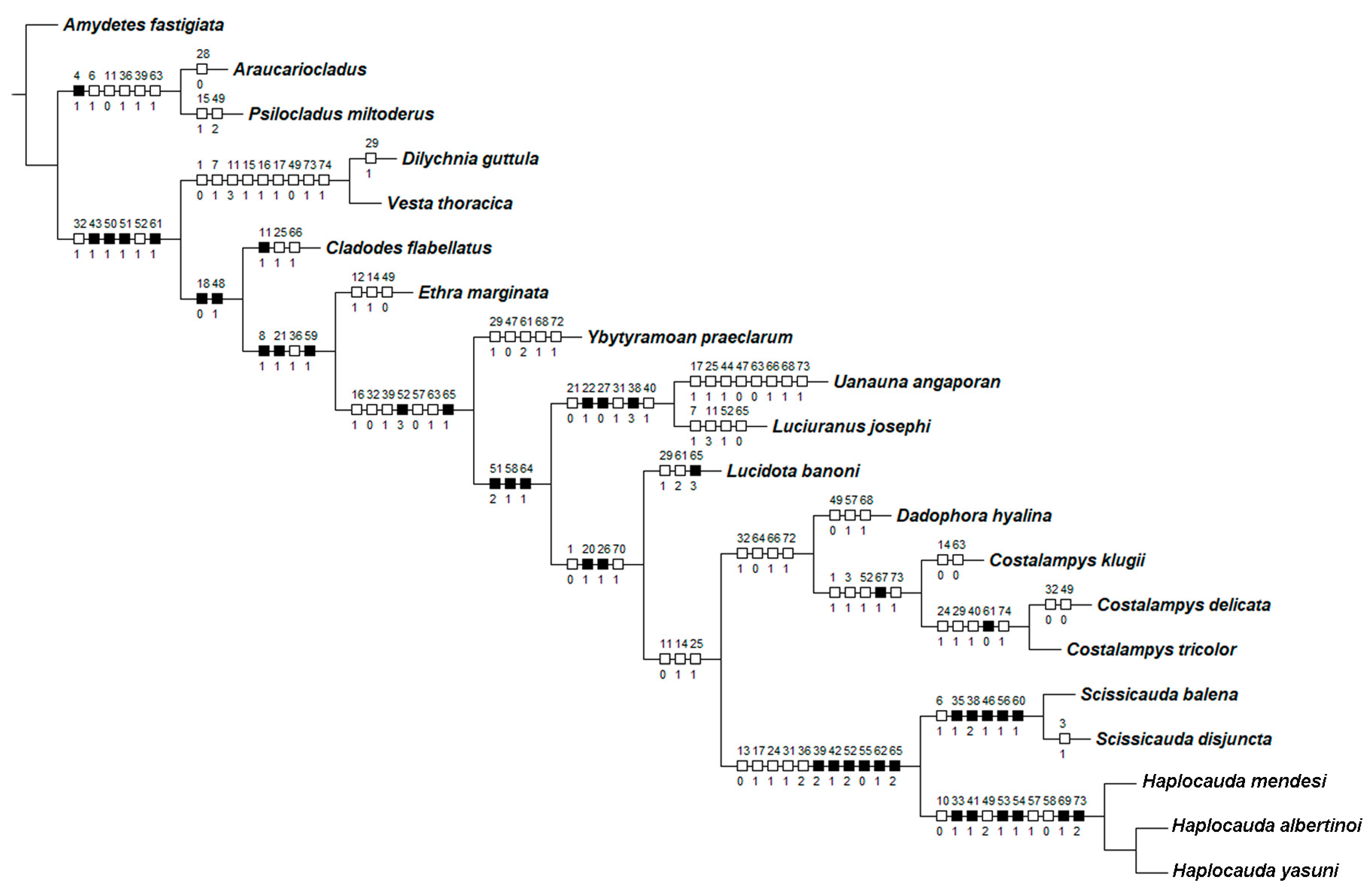 Insects 13 00058 g002