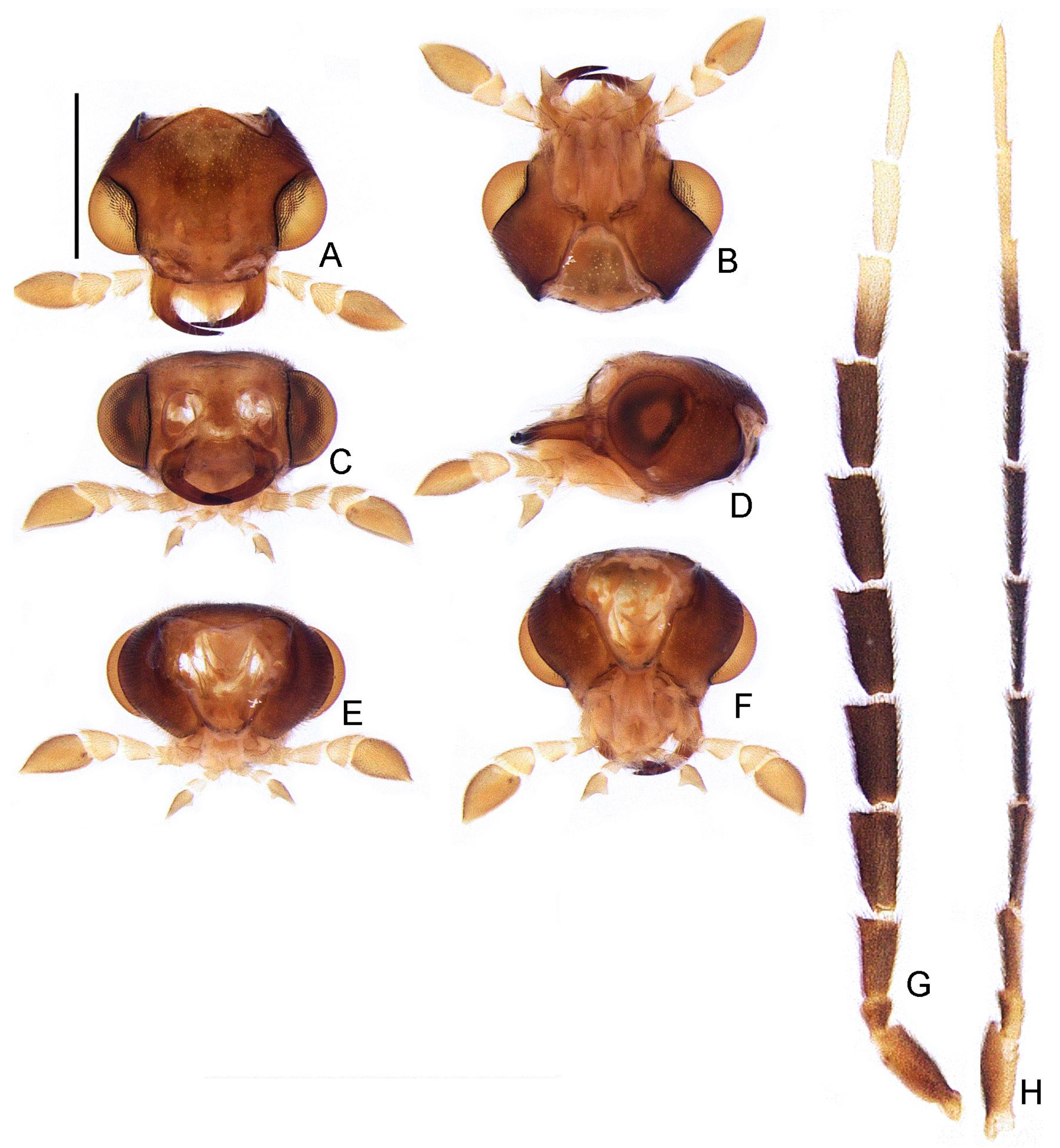 Insects 13 00058 g007