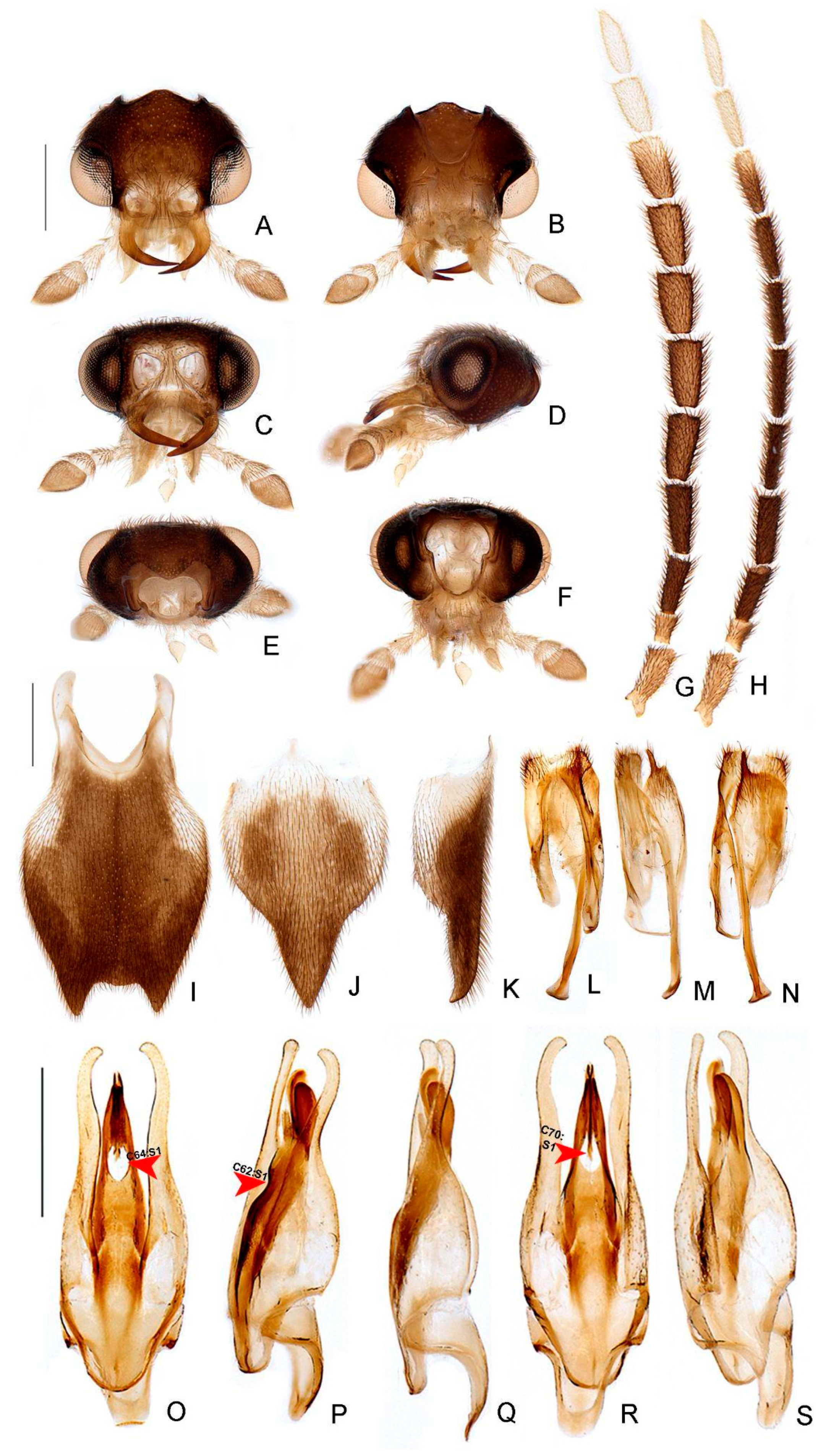 Insects 13 00058 g009