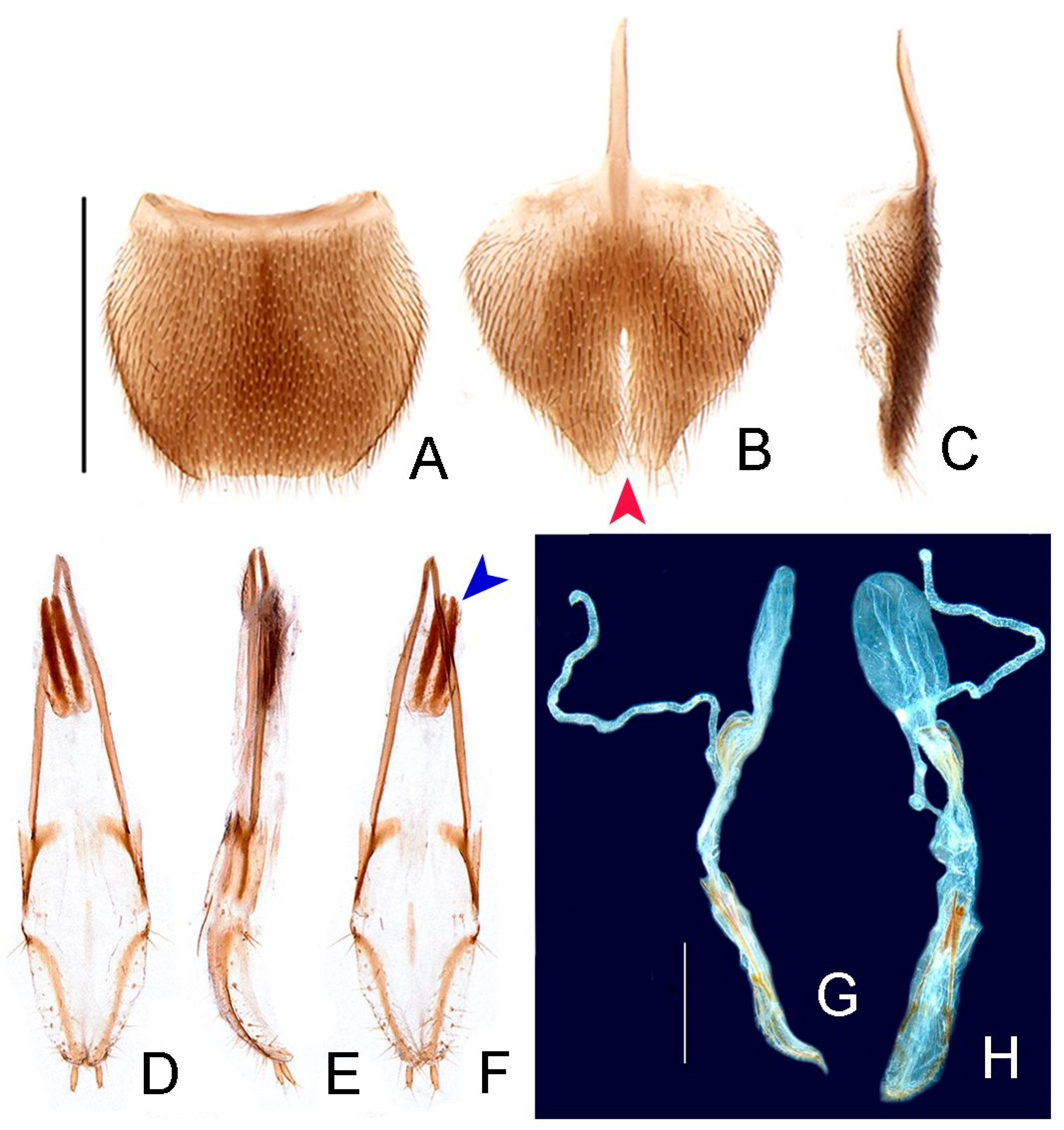 Insects 13 00058 g010